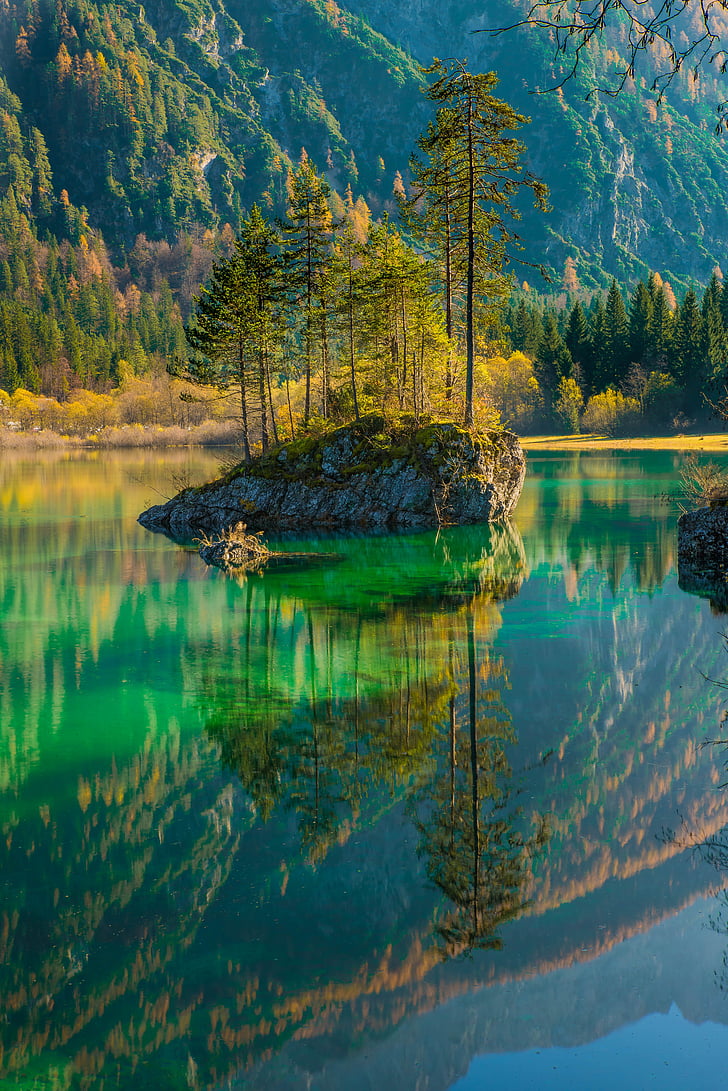 728x1091 Royalty Free Photo: Small Body Of Water Surrounded By Tall Tree At Daytime