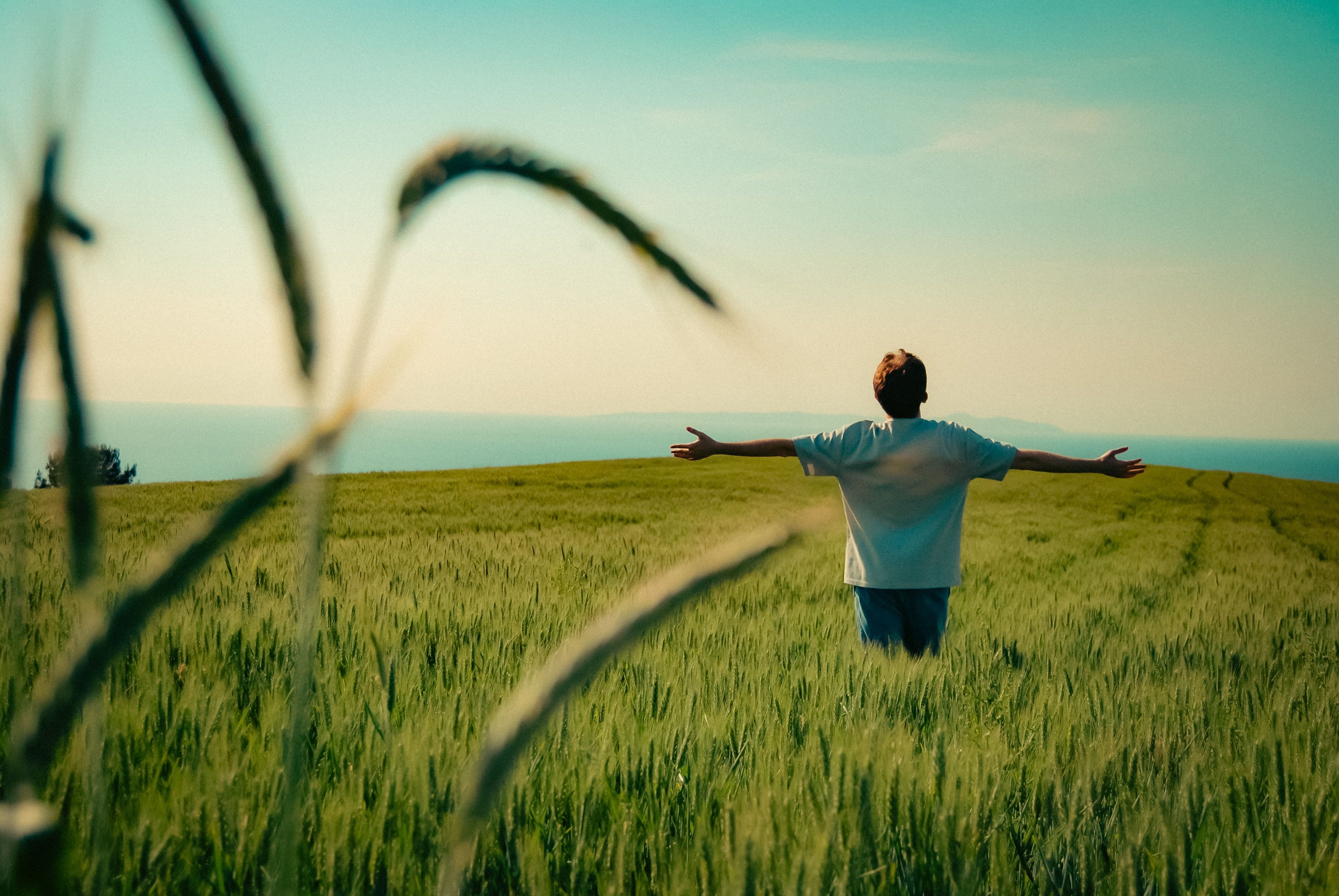 3872x2592 Abundant Life Photo, Download The BEST Free Abundant Life & HD Image