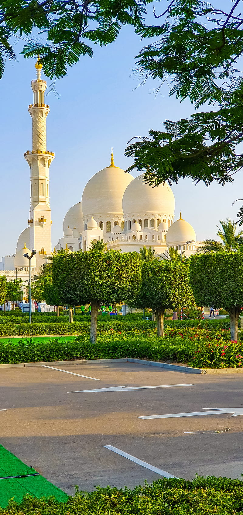 800x1691 Islam, ala hazart, mosque, muslim, HD wallpaper