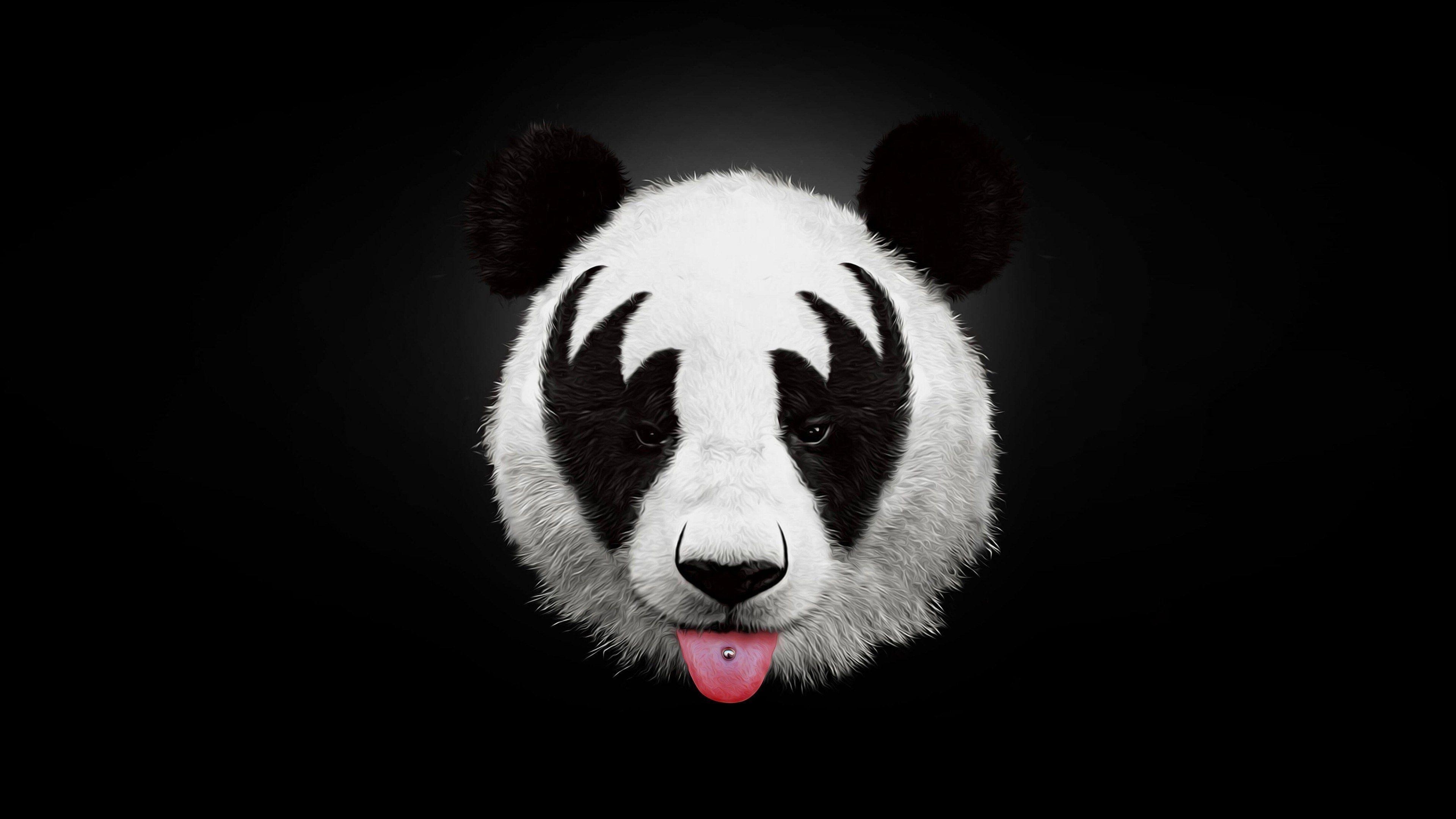 909 Cute Panda Background Stock Video Footage  4K and HD Video Clips   Shutterstock