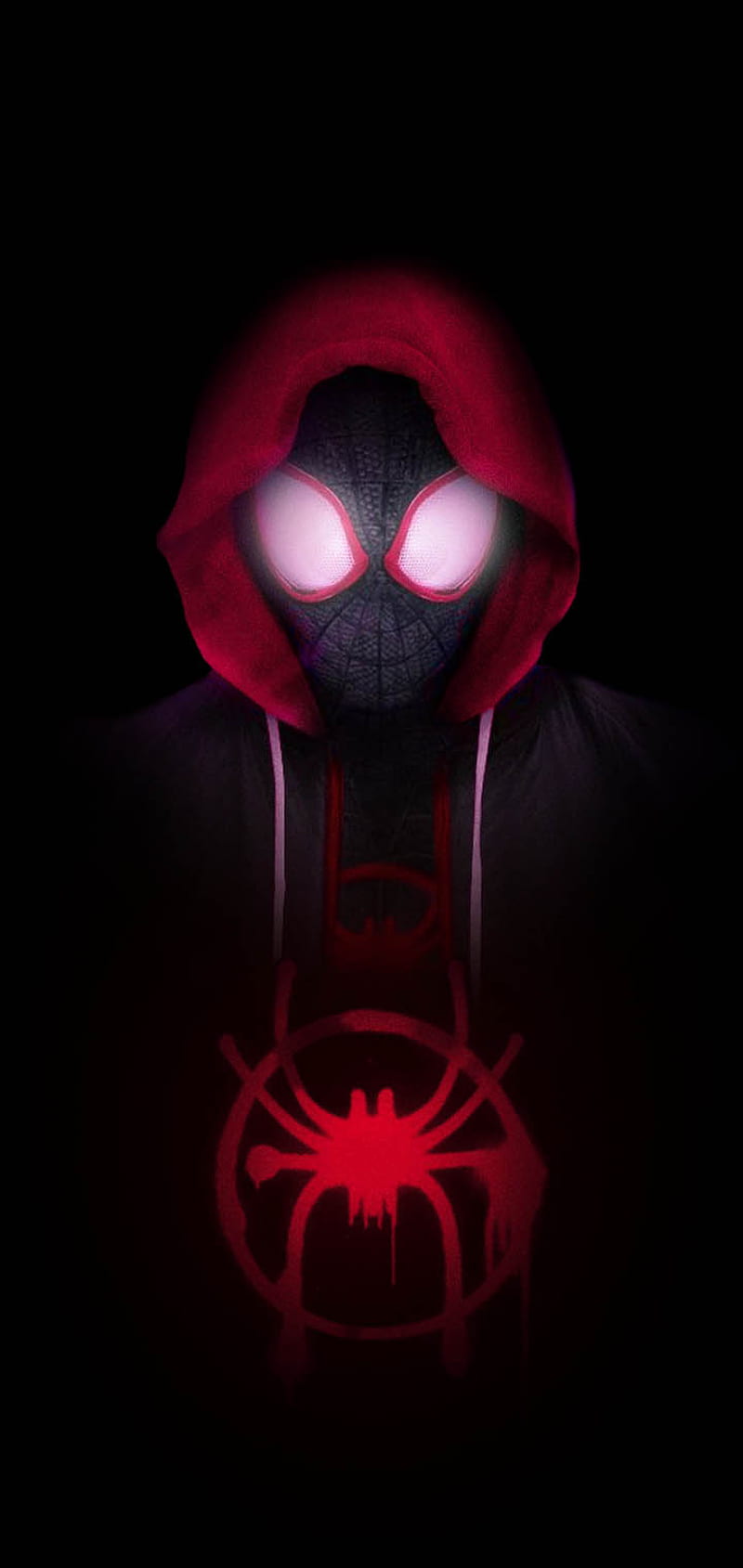 800x1689 Miles Morales Spider Man iPad Pro Retina Display, , Background, and, Miles Morales Spider Verse, HD wallpaper