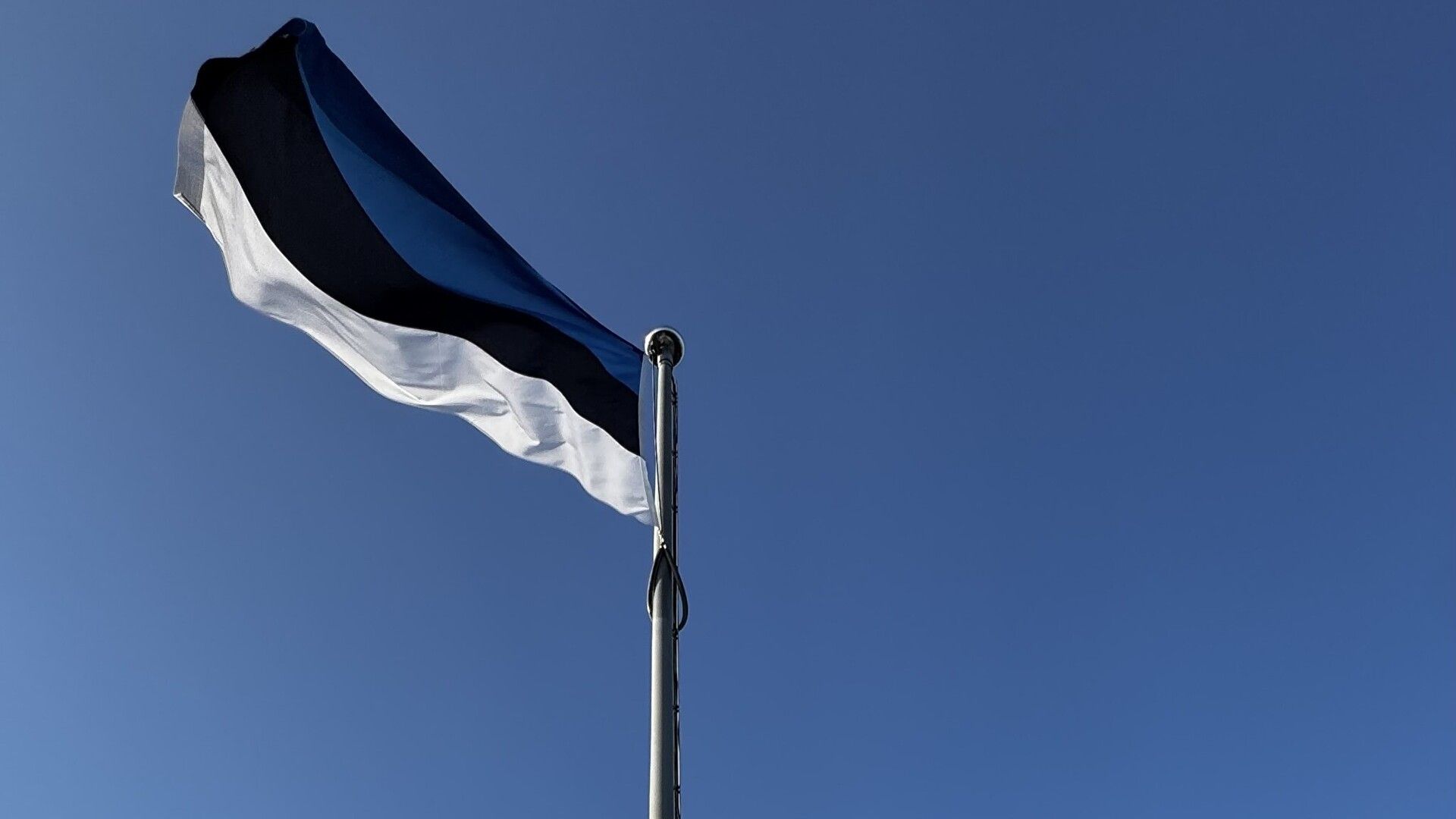 1920x1080 Estonia marks 141st anniversary of the blue, black and white flag