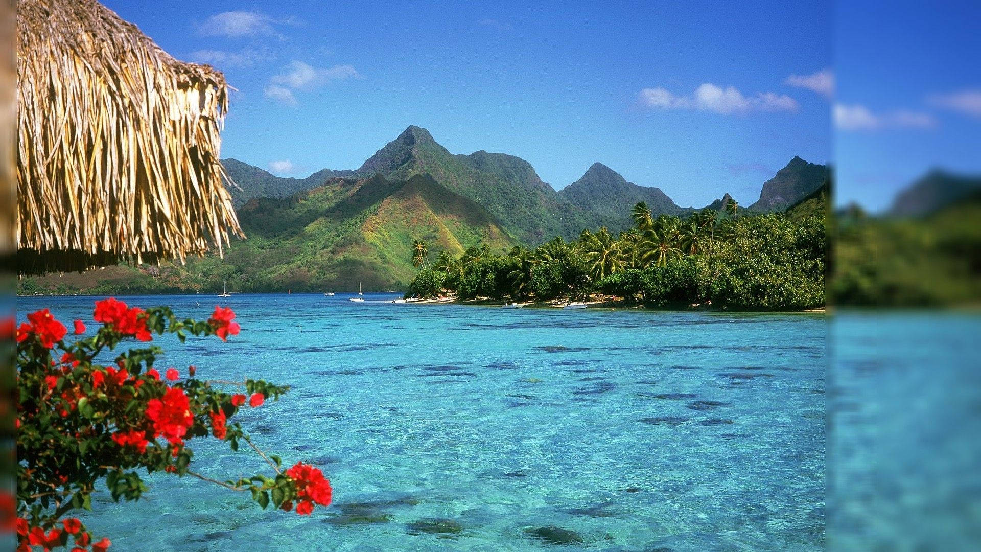 1920x1080 8k Desktop Tropical Island Wallpaper