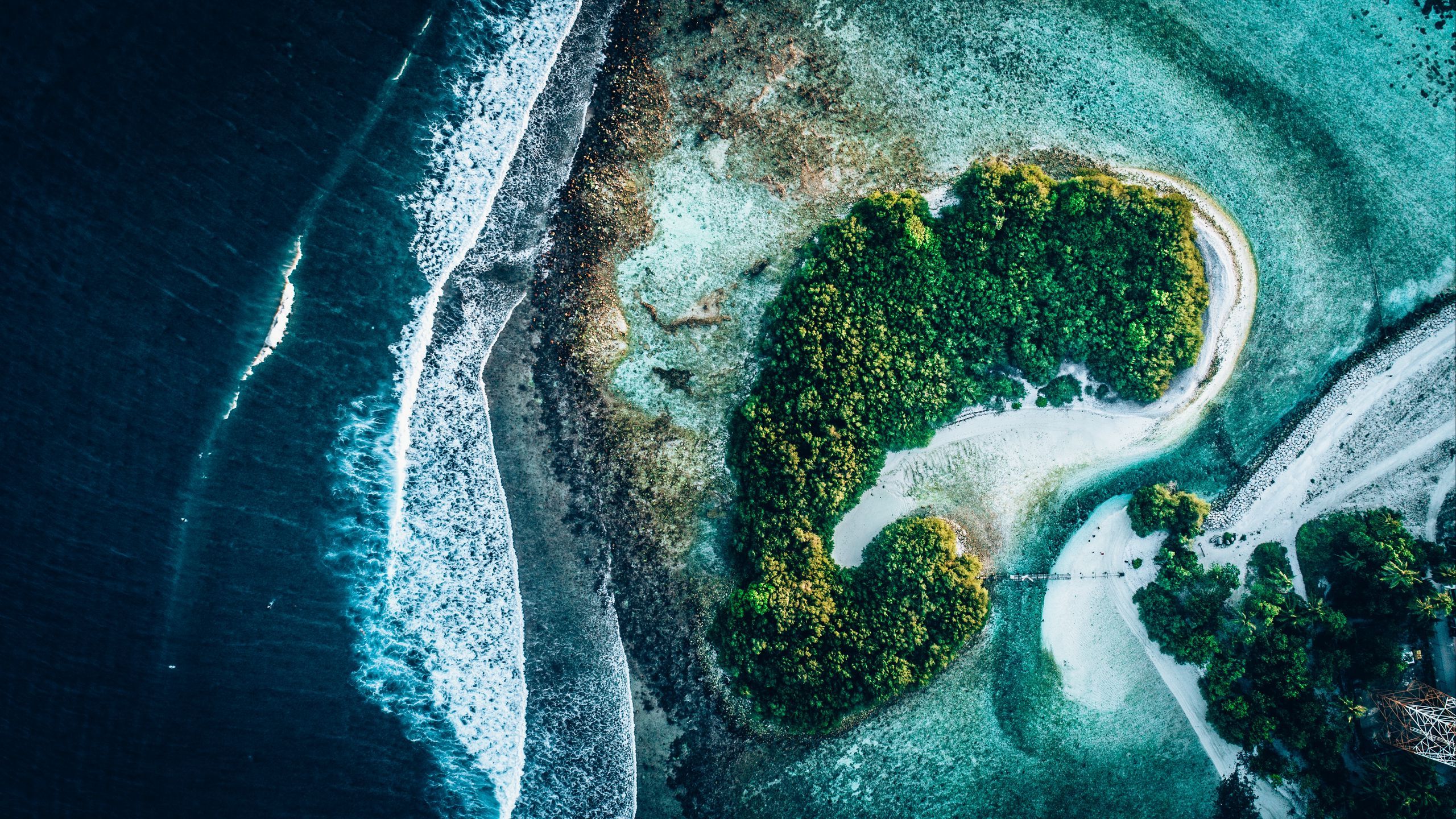 2560x1440 Download wallpaper 2560x1440 ocean, islands, aerial view, trees, water widescreen 16:9 HD background