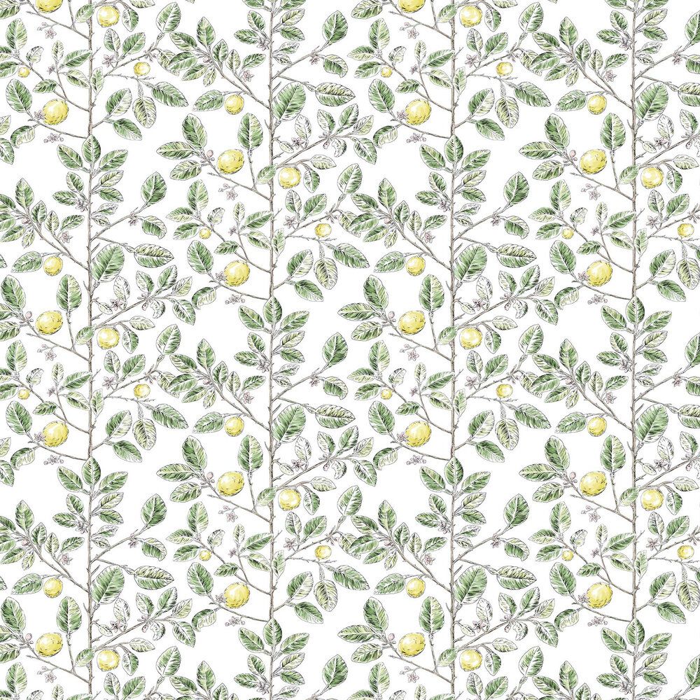 1000x1000 Limoncello Toile by York : Wallpaper Direct