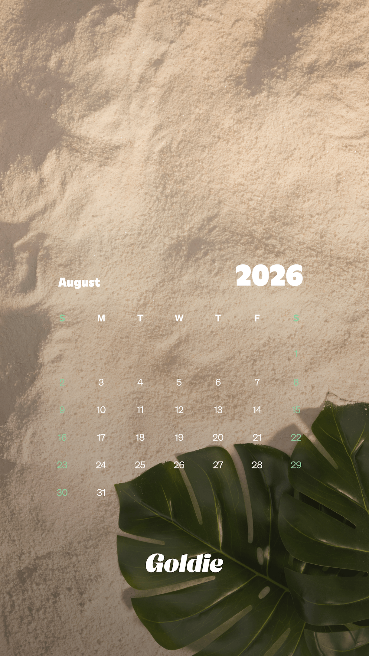 1220x2169 Free August 2026 Calendar Wallpaper