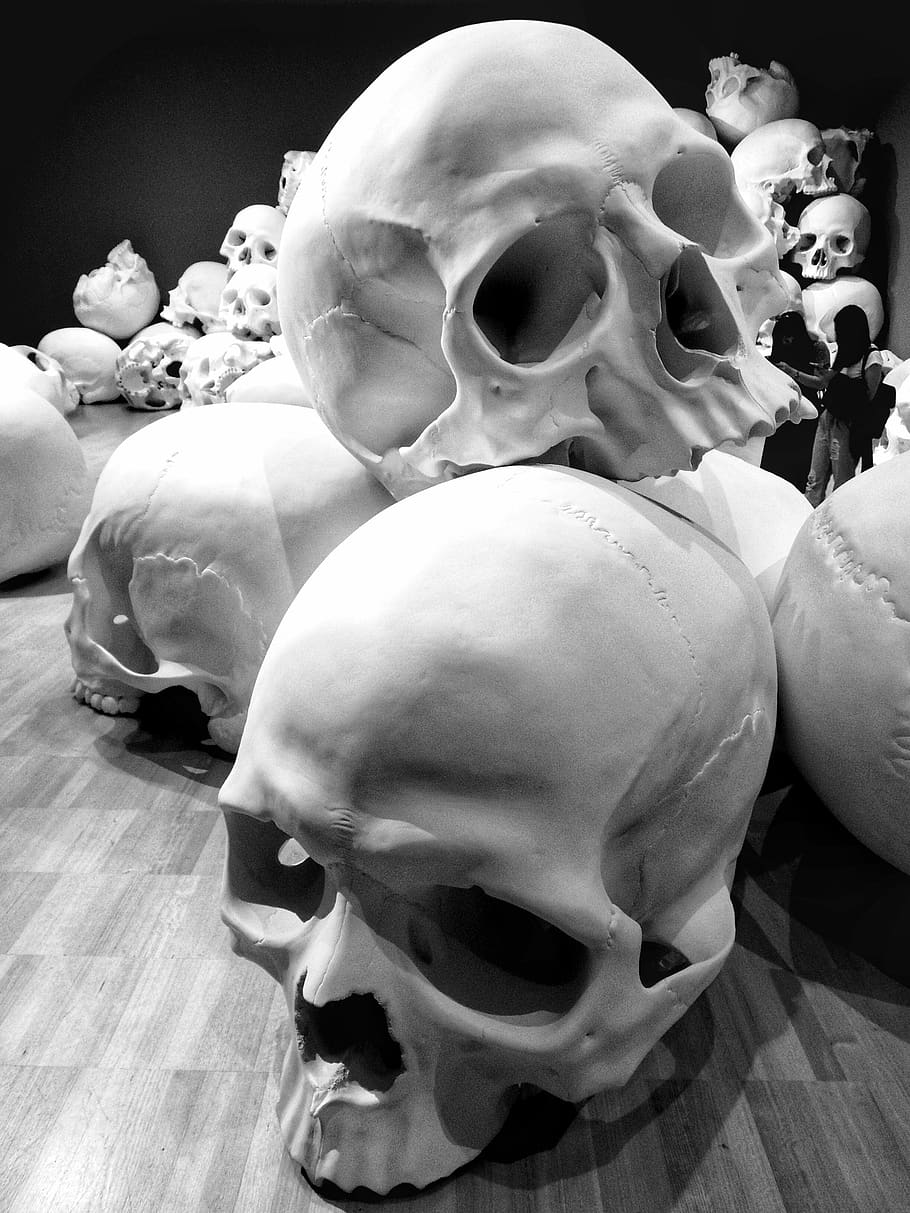 910x1213 HD wallpaper: skull, skulls, art, ngv, sculpture, indoors, representation