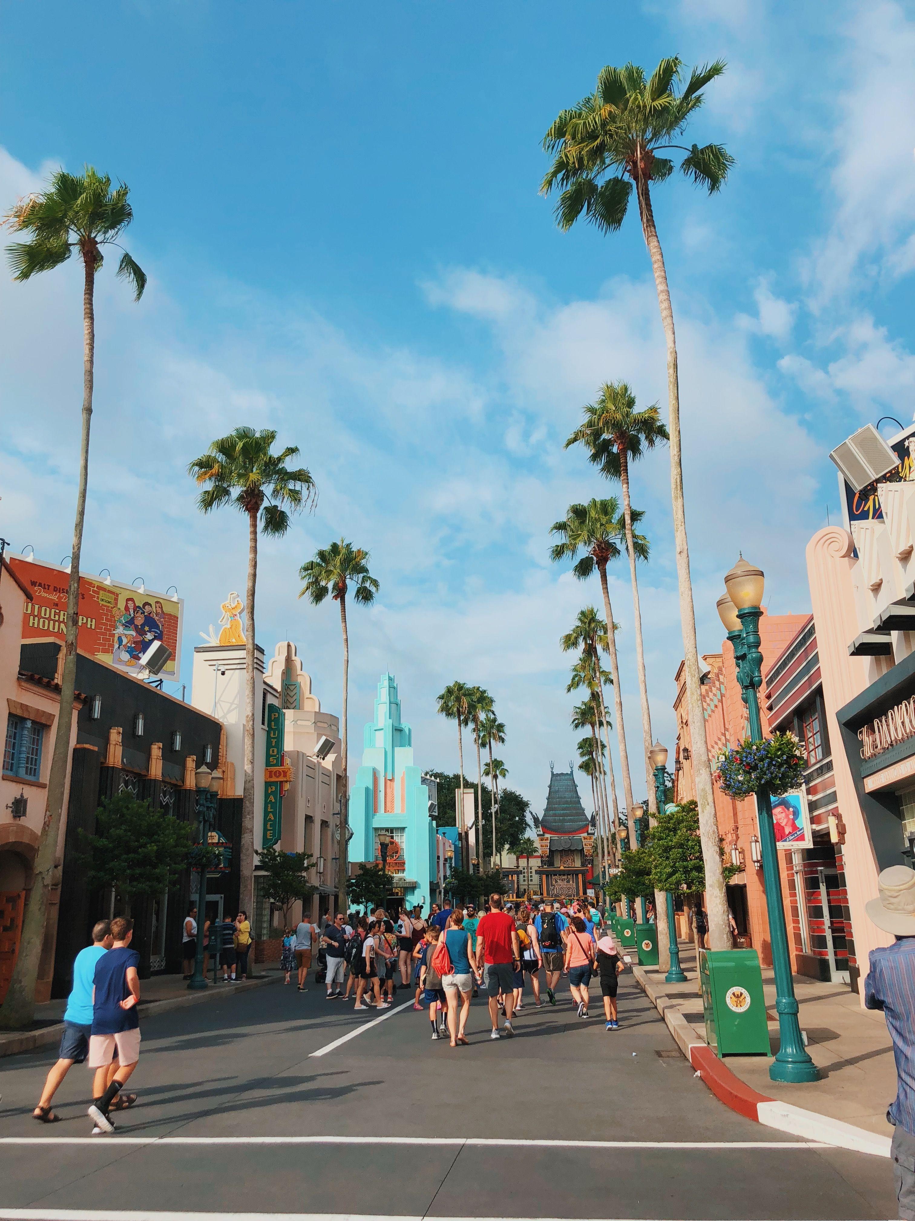 3024x4032 sonho. Orlando travel, Disney orlando, Florida photography