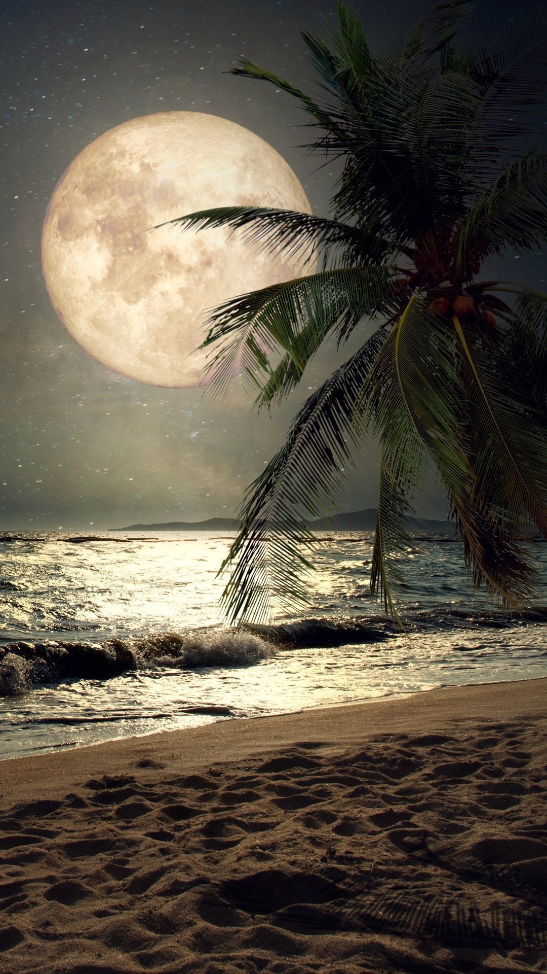 1080x1920 Night Summer Moon Wallpaper