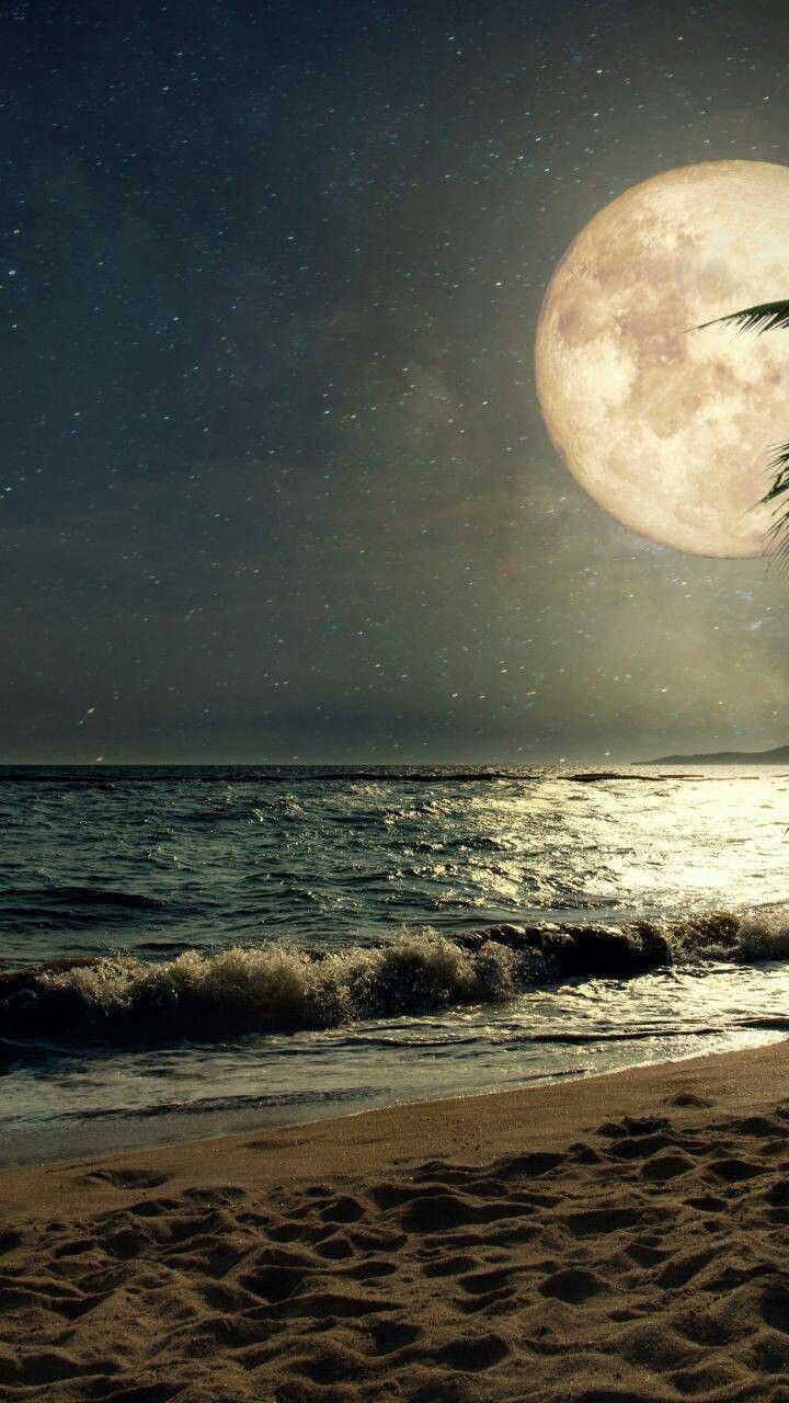720x1280 Summer Moon Wallpaper