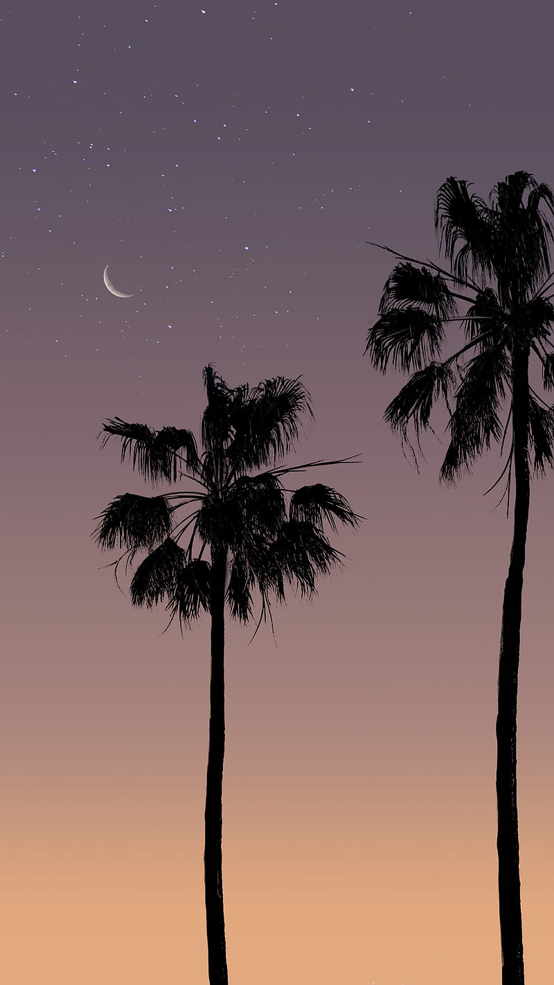 800x1422 Summer days III, Summer, aesthetics, beach, beach life, beach vibes, cosmic, HD phone wallpaper