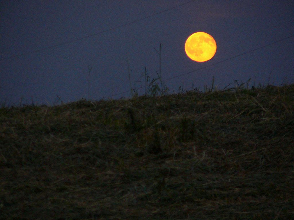 1024x768 Summer Moon