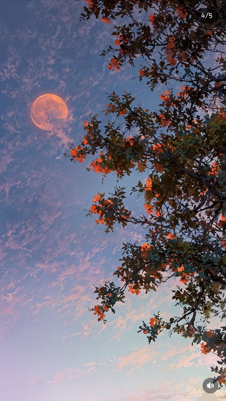 736x1308 Moon and sun aesthetic wallpaper. Moon and trees aesthetic, Summer moon wallpaper, Cherry blossom night