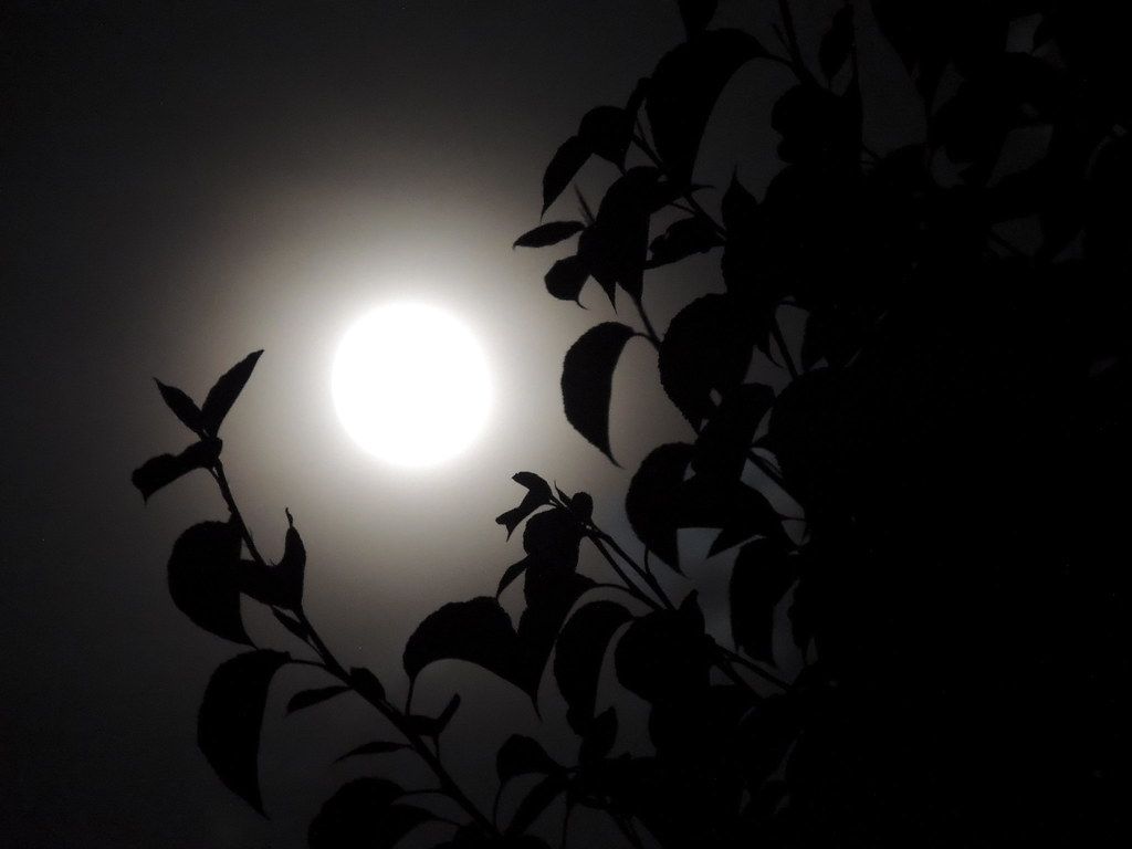 1024x768 Soft Summer Moon