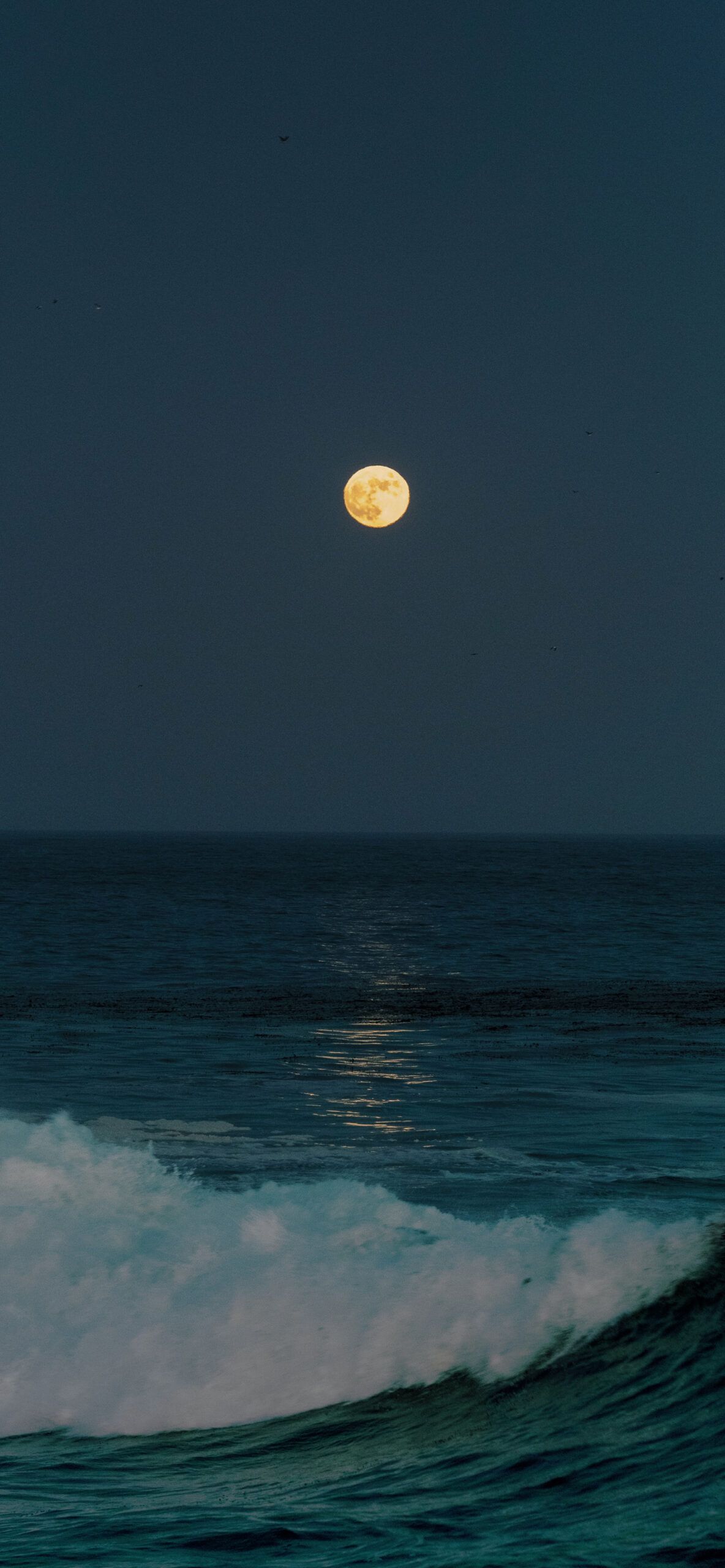 1184x2560 Sea at night Wallpaper for iPhone Pro Max, X, 6