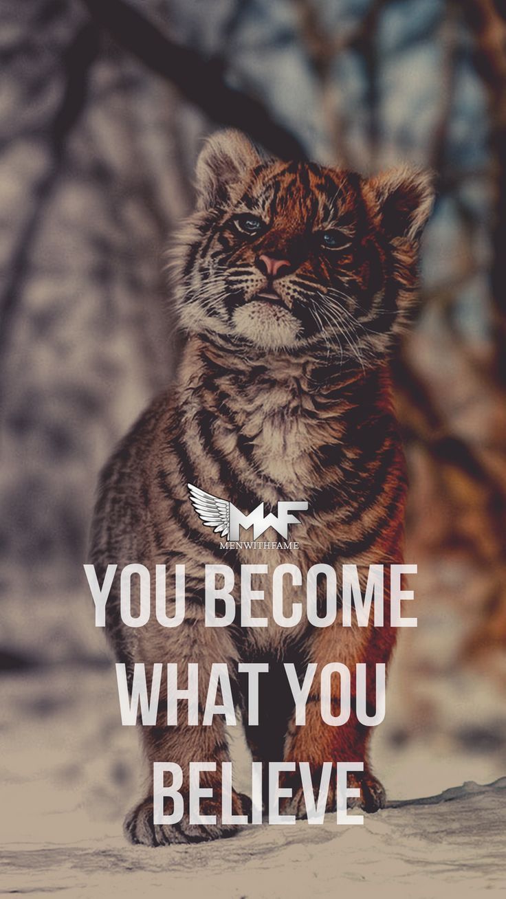 736x1308 Tiger Quotes HD Wallpaper: You Become What You Believe. Inspirational animal wallpaper, Motivational animal wallpaper