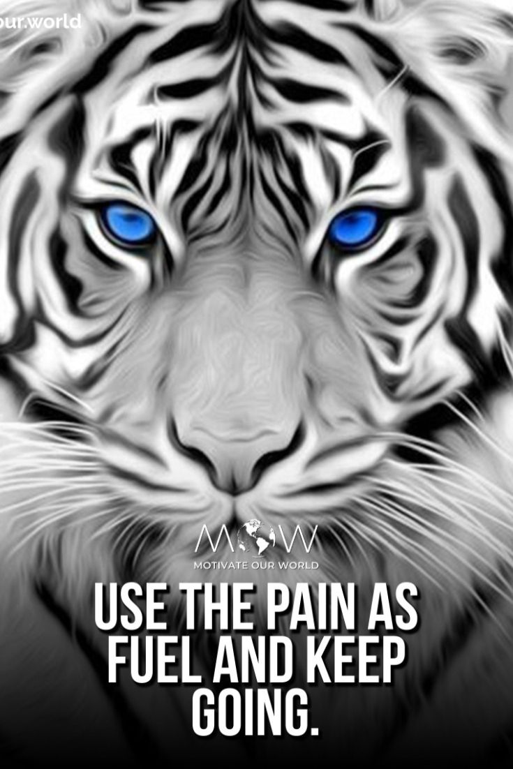 735x1102 Motivational Quotes for Success. Black and white tiger art, Daily inspiration for tough times, Inspirational animal quotes