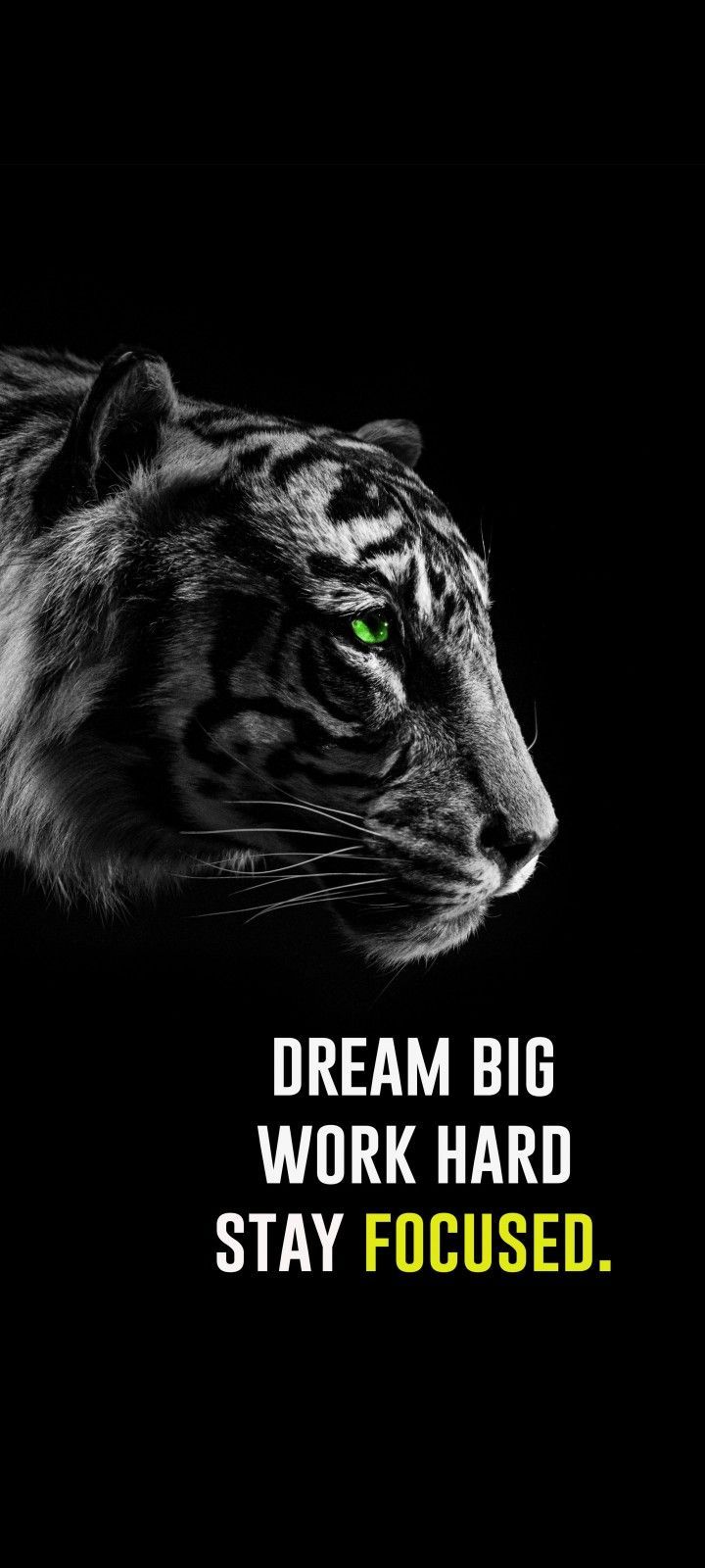 720x1600 Dream big work hard stay focused