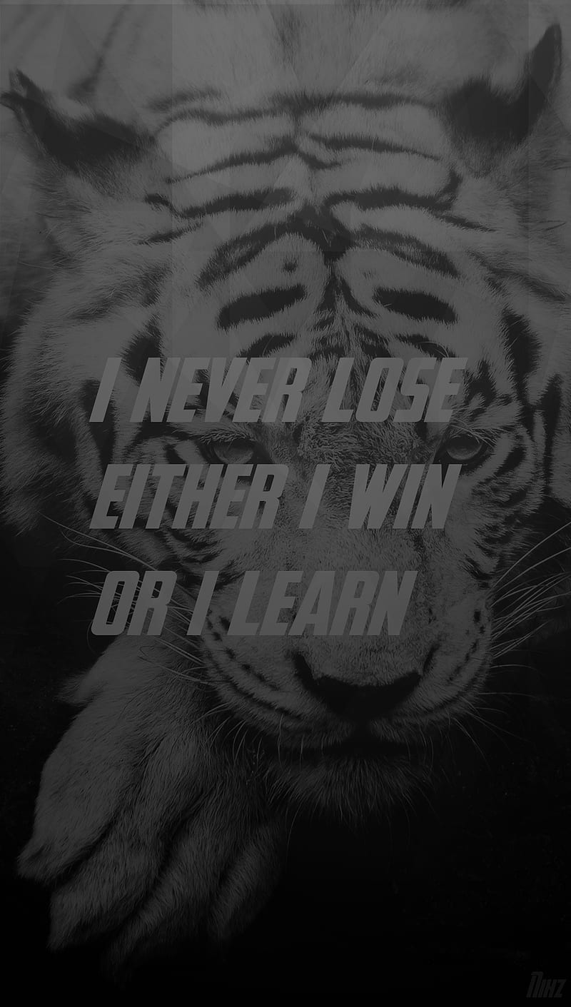 800x1411 HD tiger say wallpaper