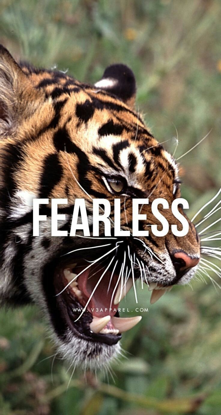 736x1377 Tiger Quotes Strength. White Tiger Quotes. Tiger Quotes Inspiration Strength. Quotes About Tiger