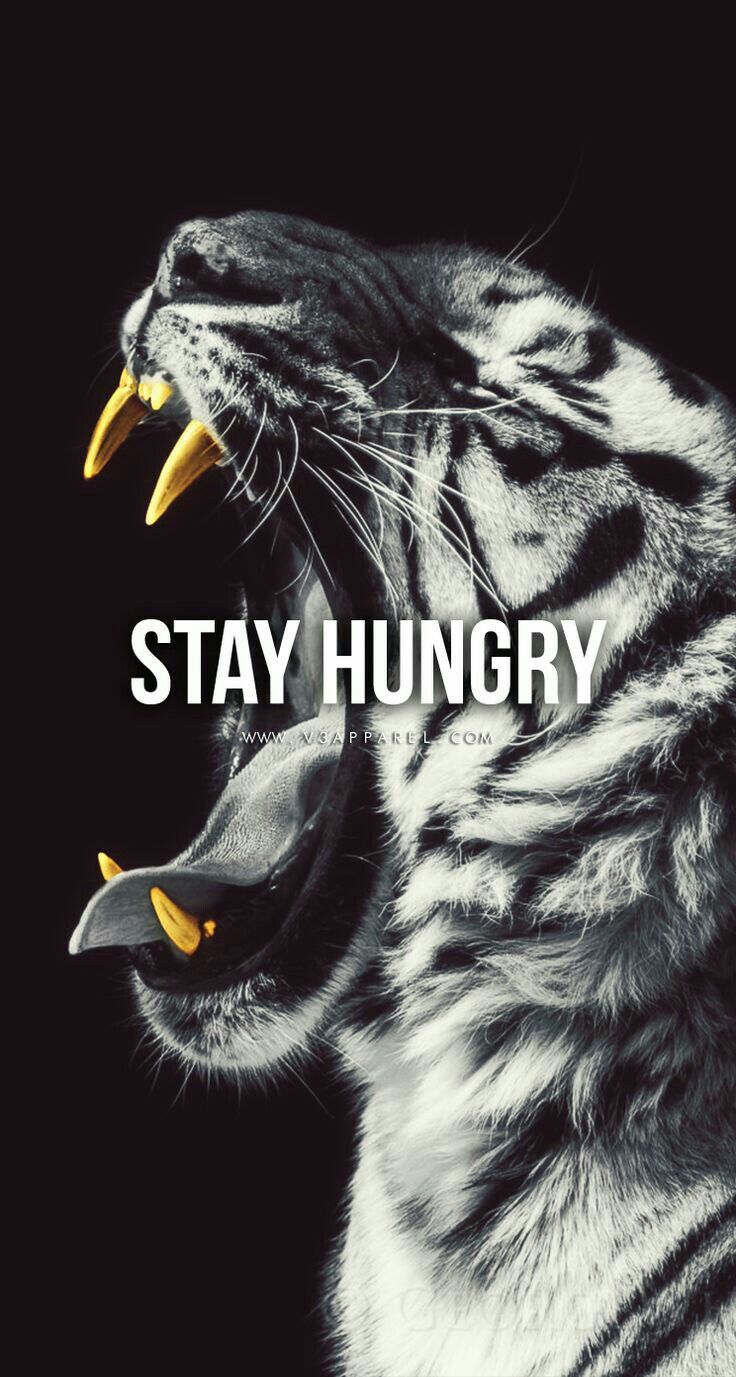 736x1377 Stay Hungry Fitness Motivation Quote. Stay hungry wallpaper, Motivational poster with tiger design, Tiger