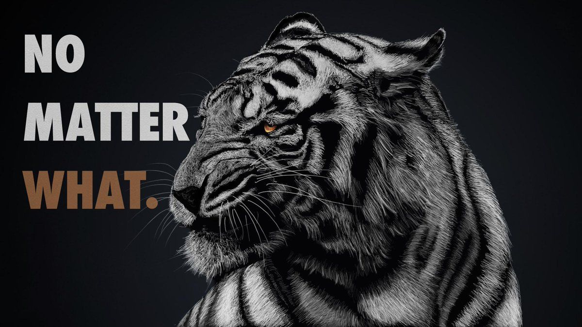 1200x675 Vision Wallpaper / Posts / X