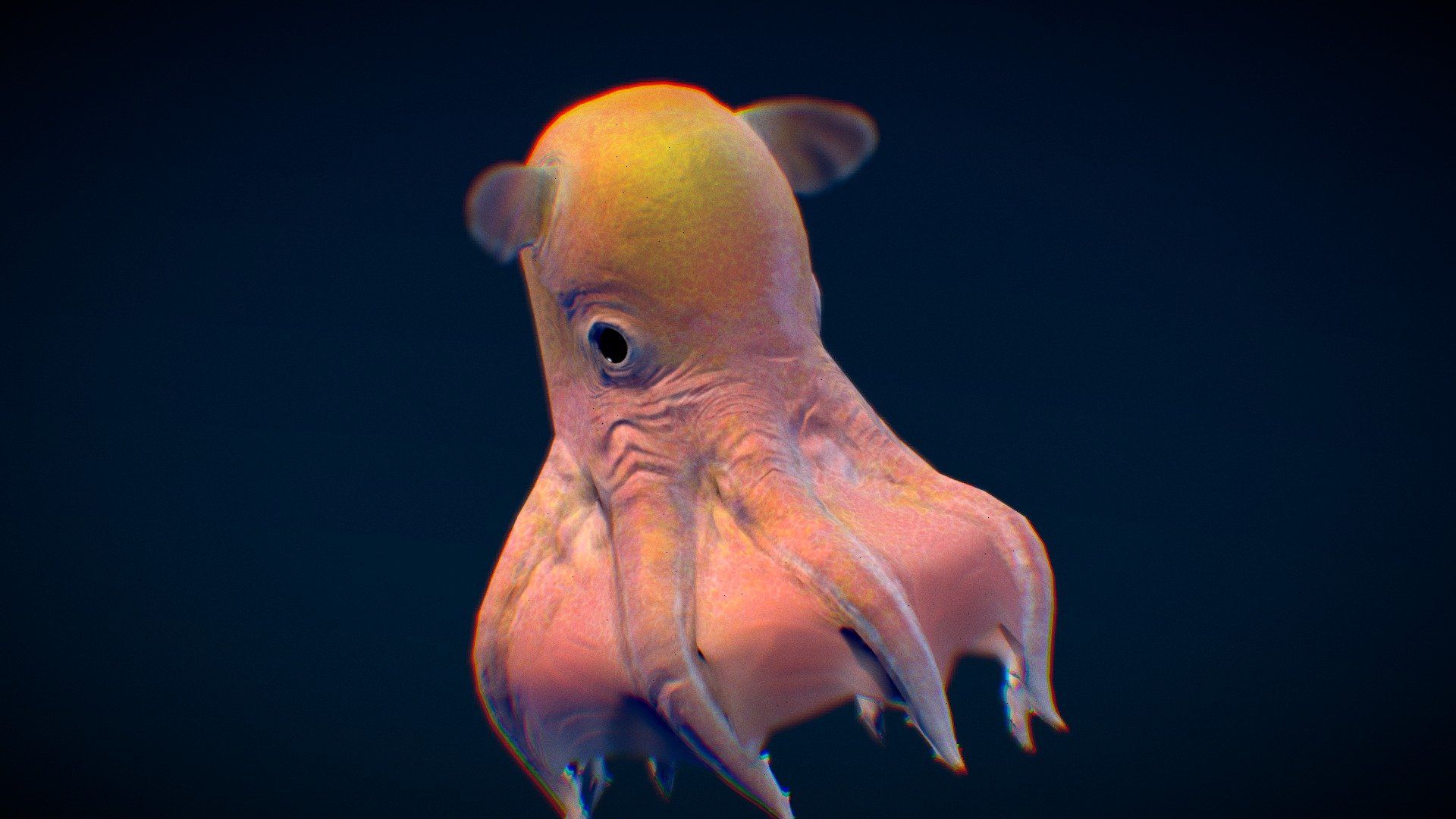 1920x1080 Dumbo Octopus model by Nestaeric [f4878c3]