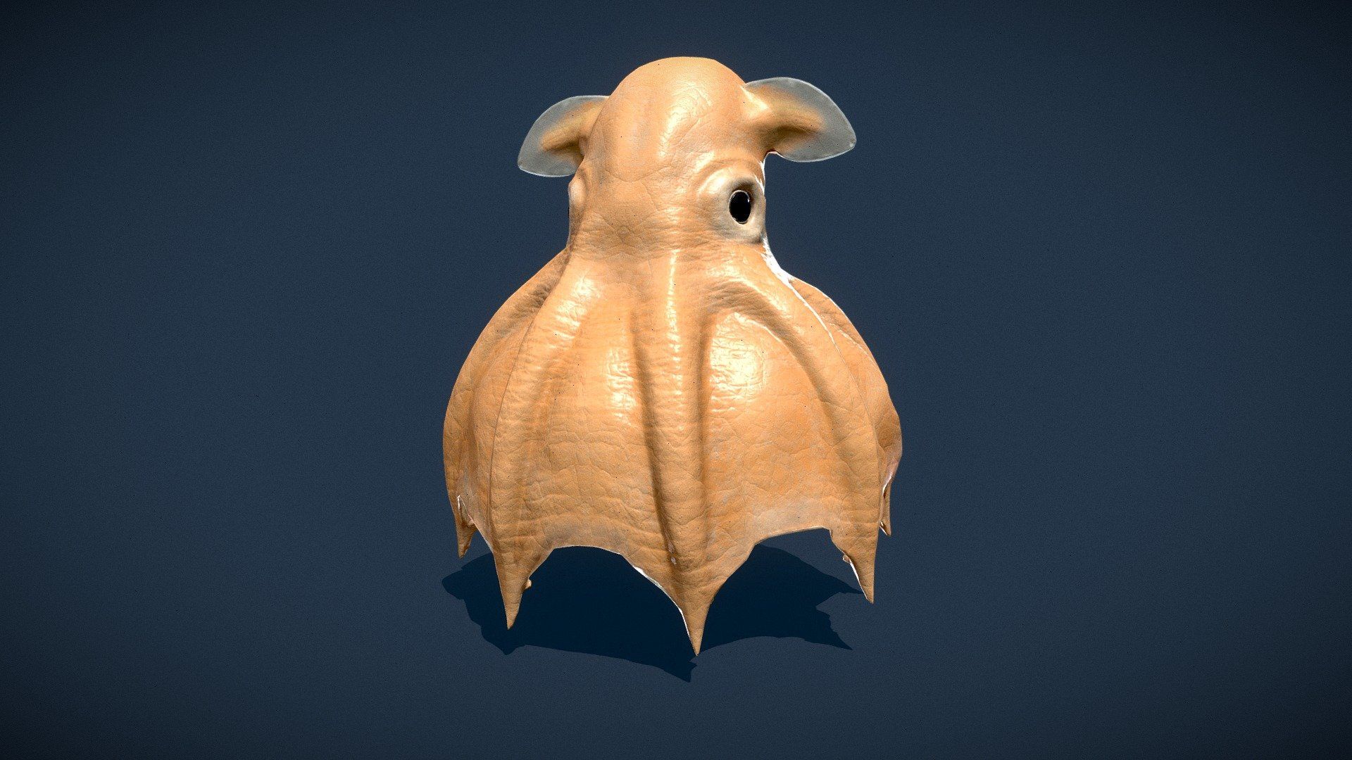 1920x1080 Dumbo Octopus. Grimpoteuthis model by HiepVu [712ee8b]