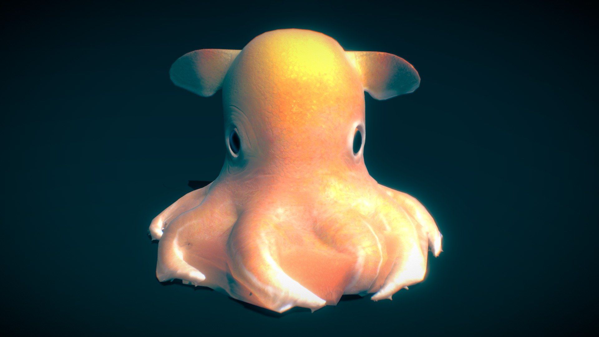 1920x1080 The umbrella octopus