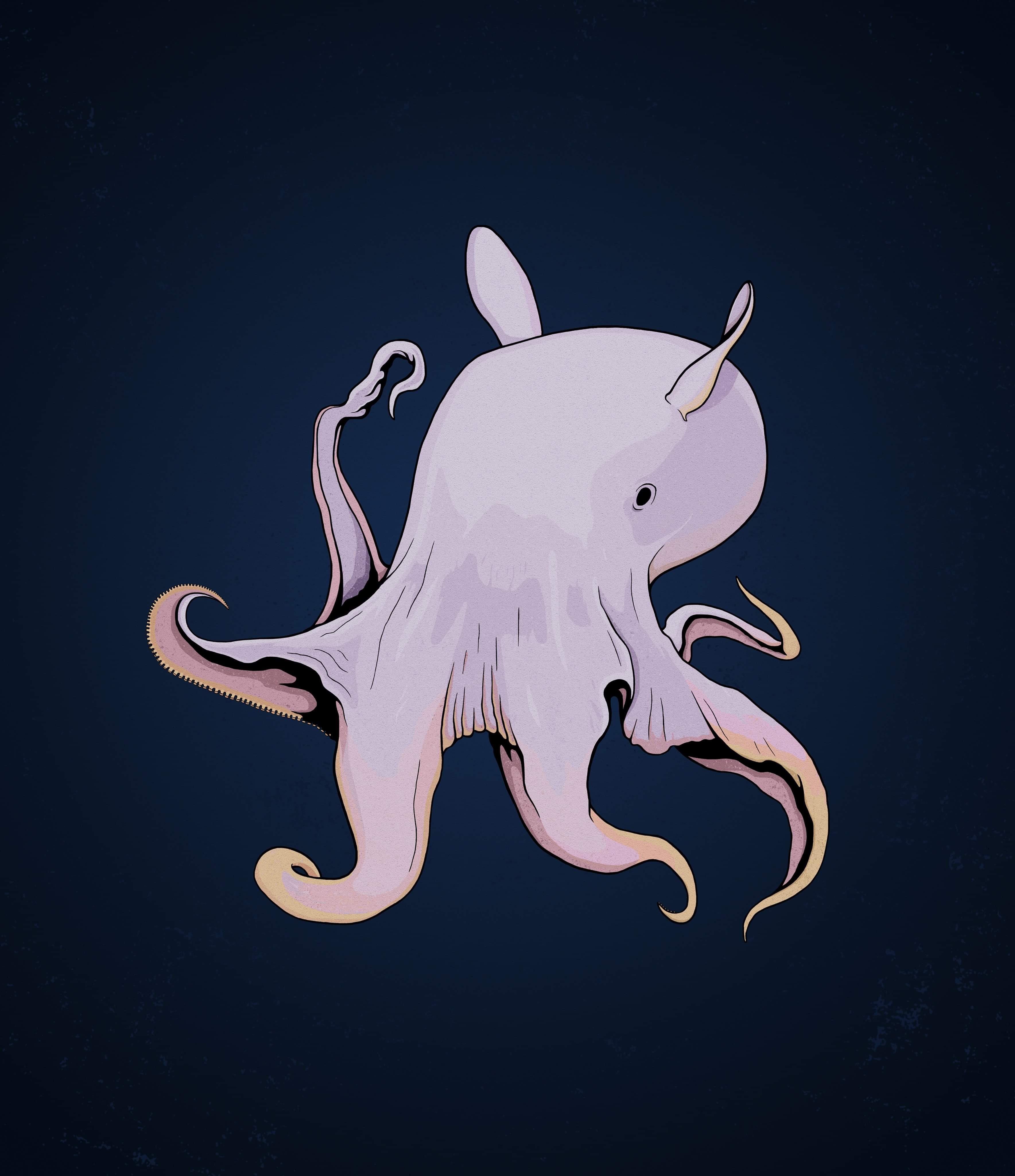 3537x4096 Dumbo Octopus Wallpaper