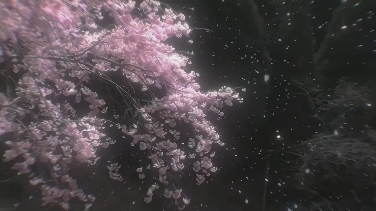 1280x720 Aesthetic Live Wallpaper for Laptop