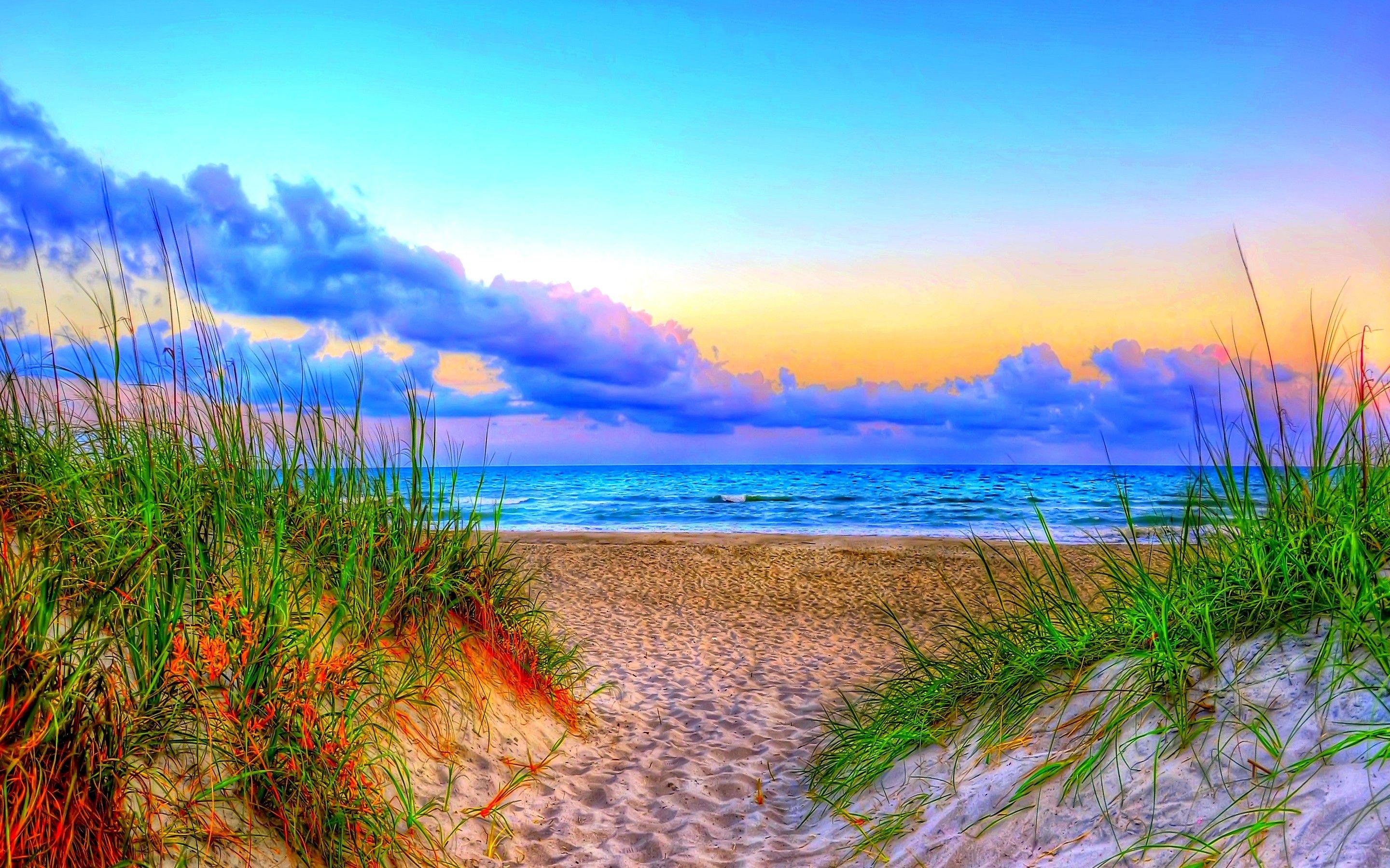 Summer Nature Wallpapers Top Free Summer Nature Backgrounds 
