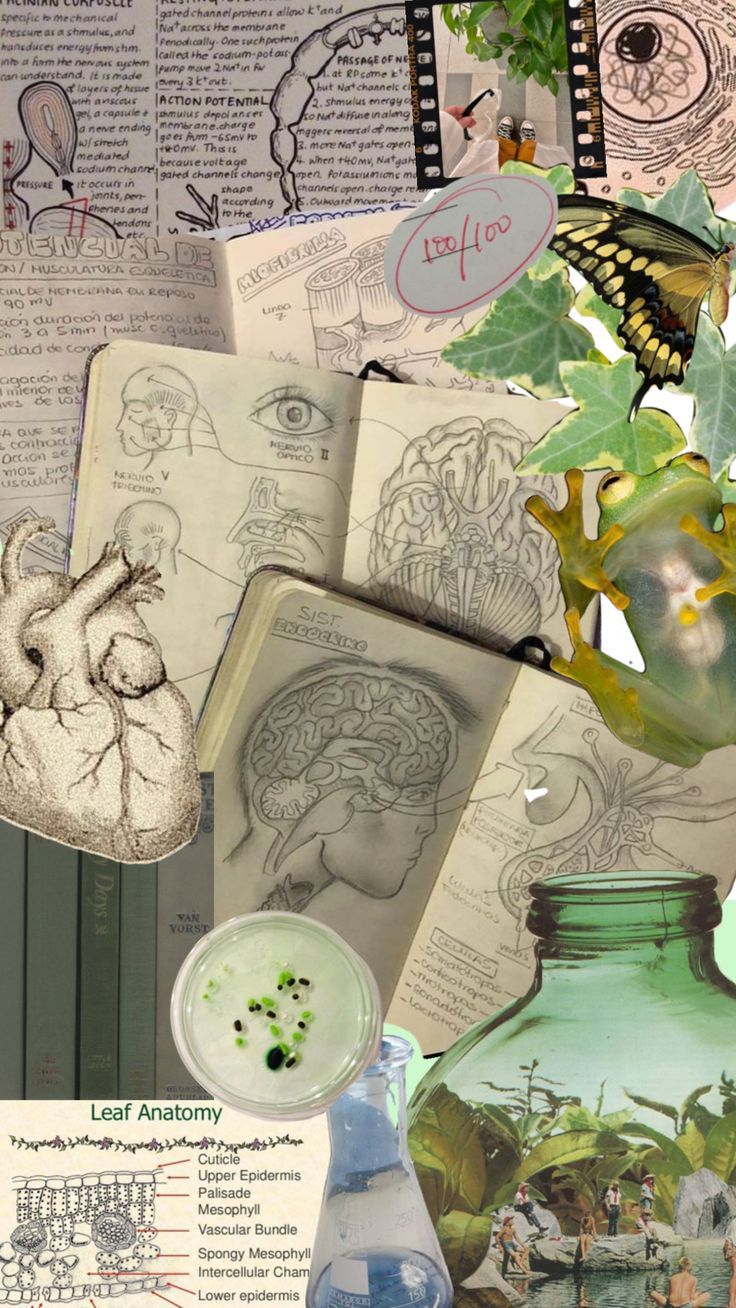 736x1308 biology #nature #wallpaper #art