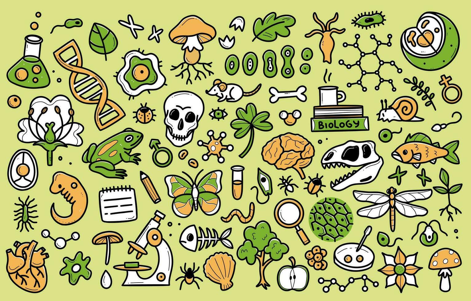 1531x980 Biology doodle set. Collection of hand drawn elements science biology. Vector illustration isolated on a white background