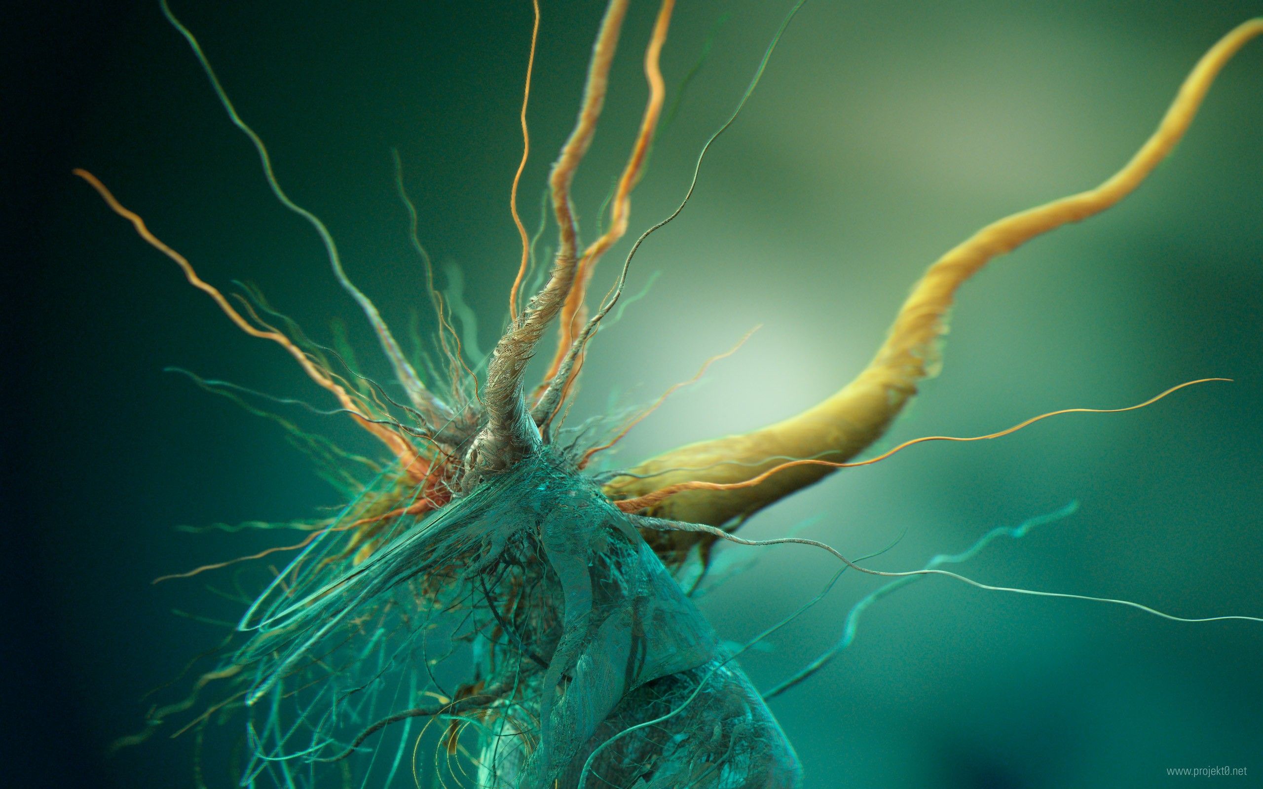 2560x1600 abstract, Brains, Cells, Biology Wallpaper HD / Desktop and Mobile Background