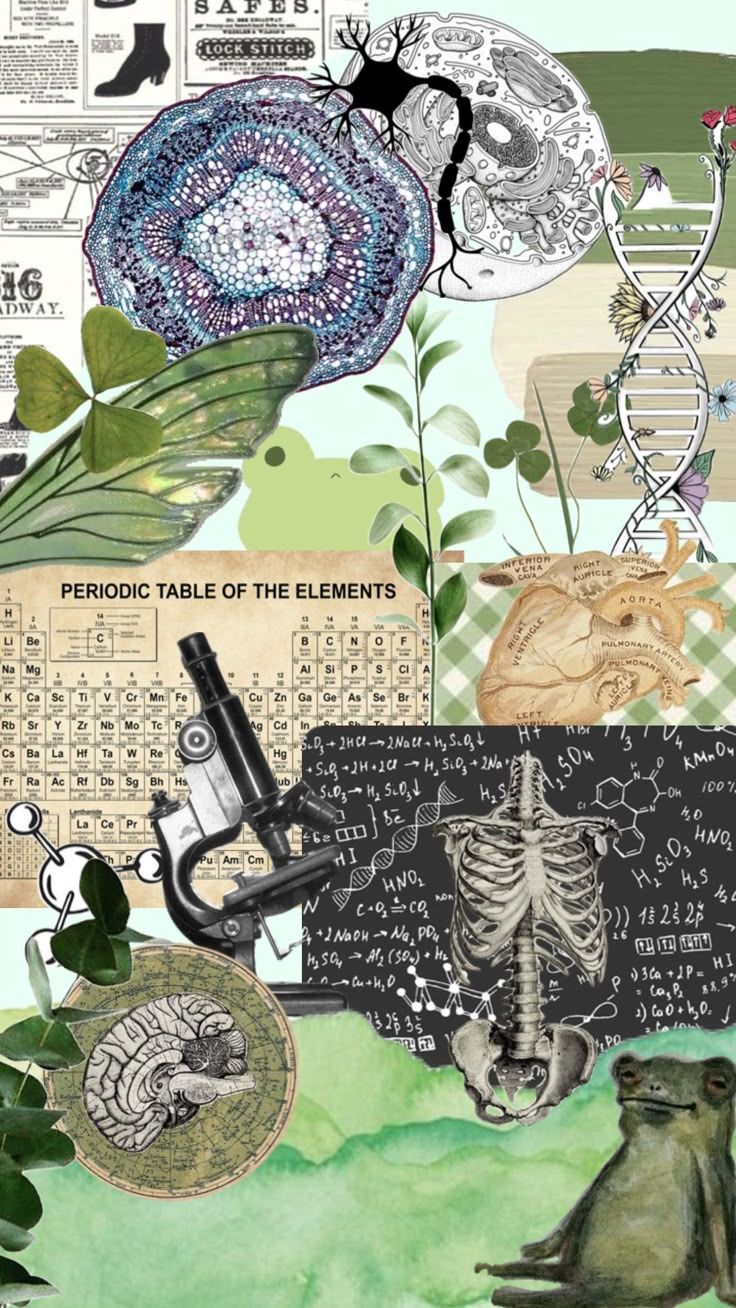 736x1308 Shuffles. Preppy science wallpaper, Biology wallpaper aesthetic for laptop, Science biology aesthetic background