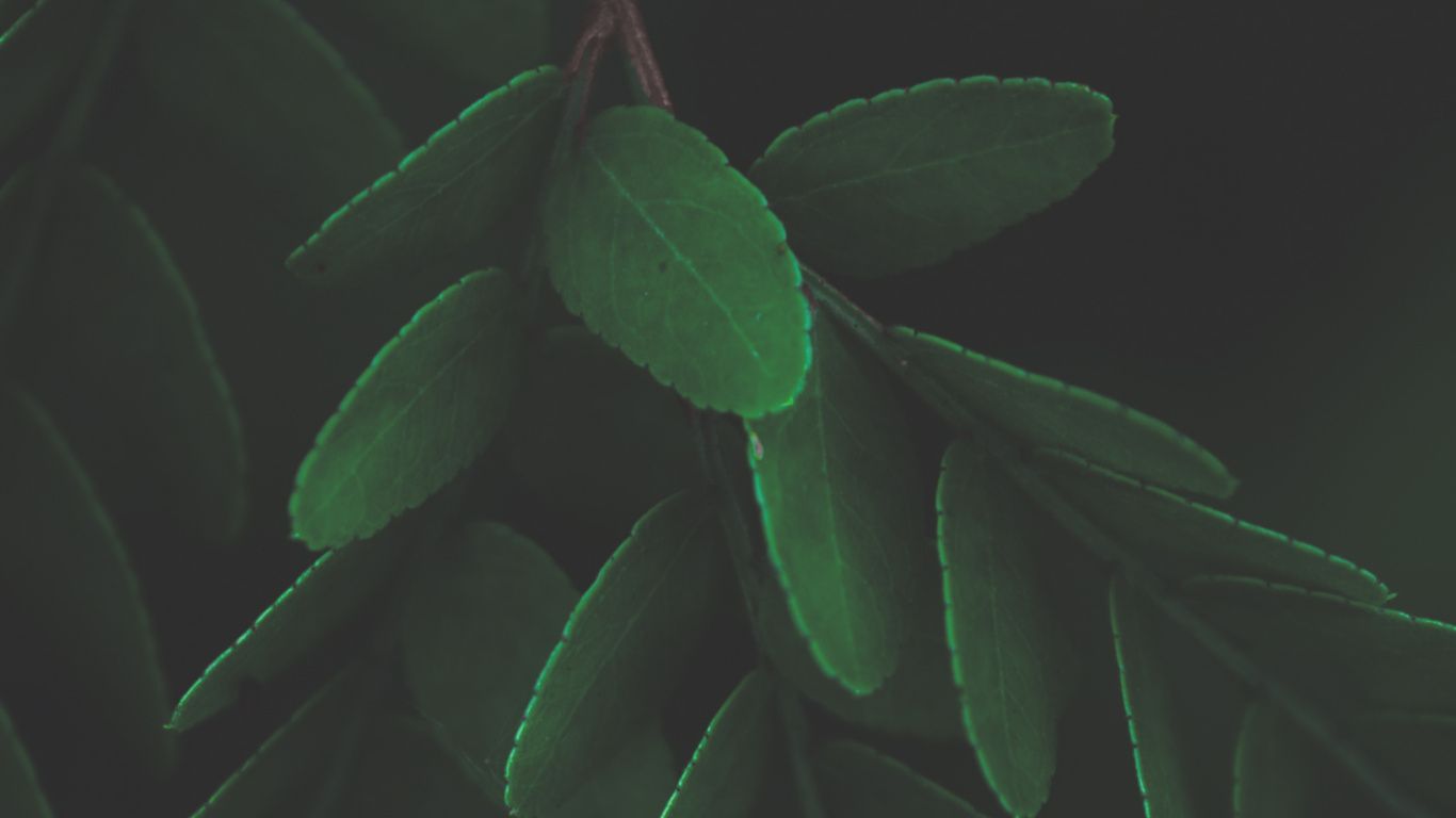 1366x768 Laptop Biology Wallpaper Free 1366x768 High Quality Background