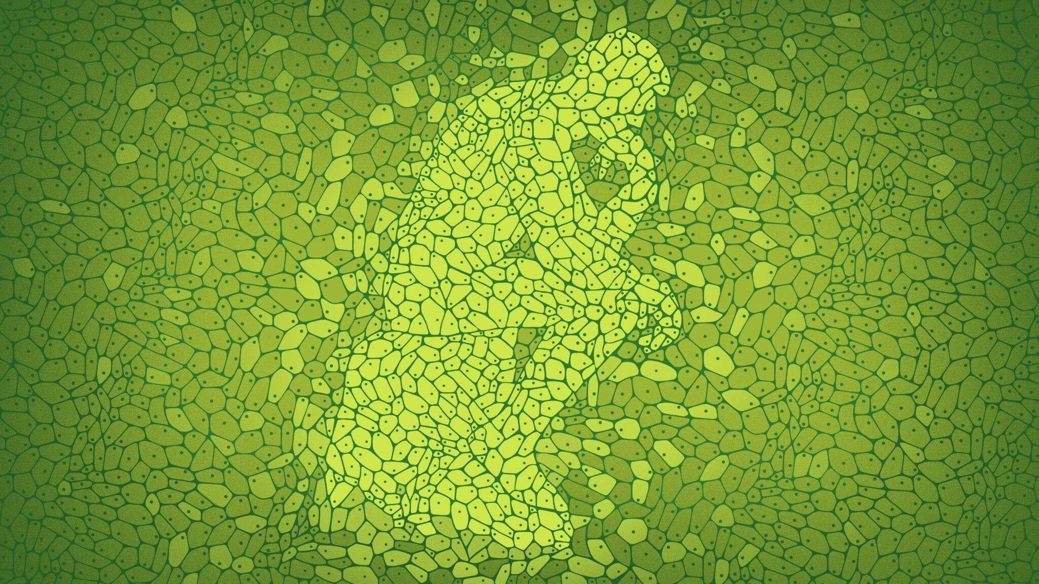2048x1152 Can Cells Think? The Magic of Developmental Biology Templeton Foundation
