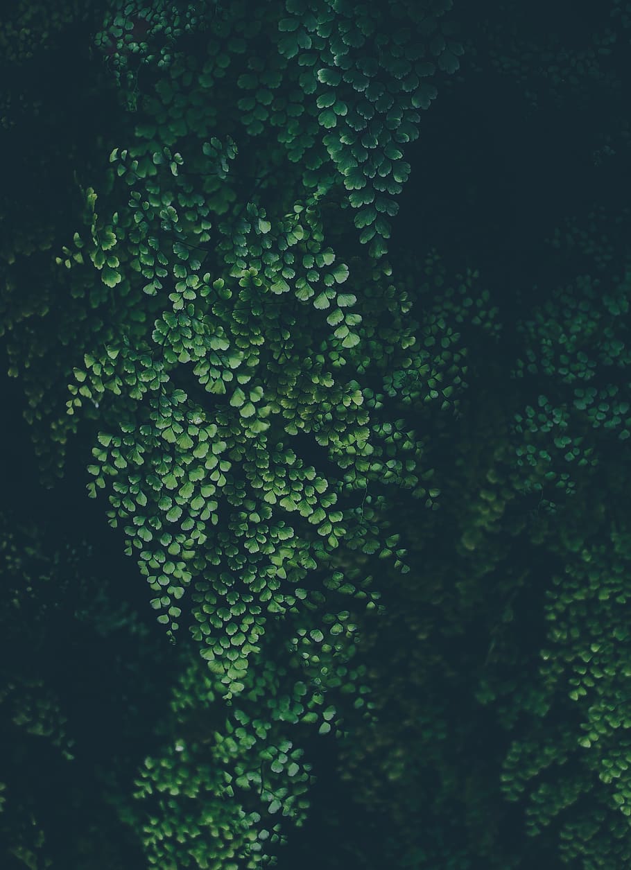 910x1255 abstract, art, background, biology, construction, dark, design, futuristic