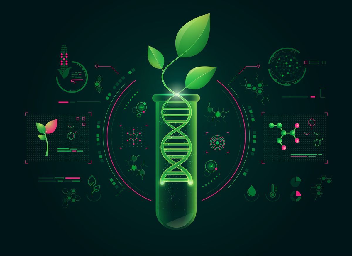 1200x873 Harnessing Molecular Farming's Potential