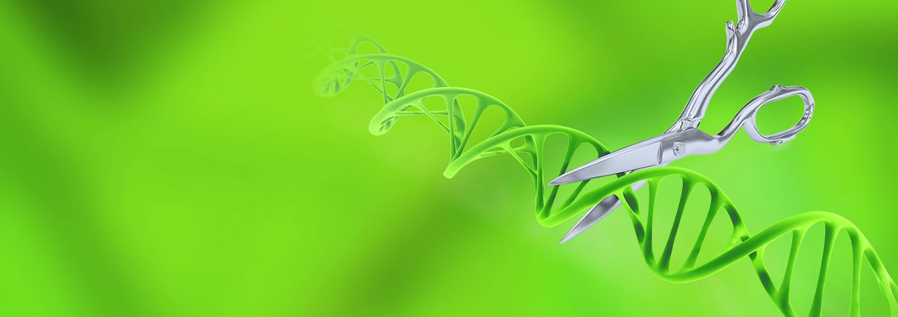 1280x452 Jena Bioscience