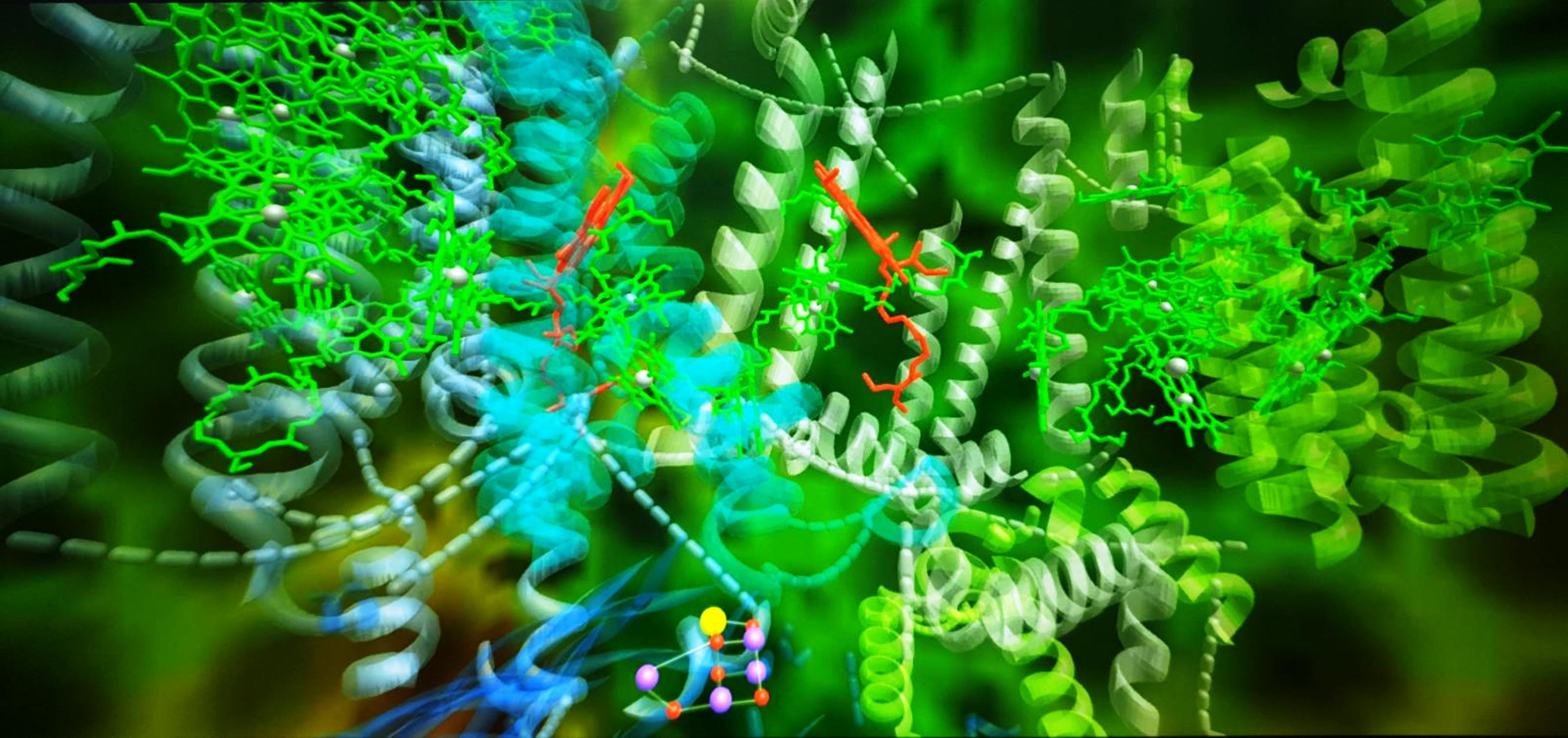 3600x1695 Artificial Photoynthesis: Fifty Five Years Of Research To Colonize Space