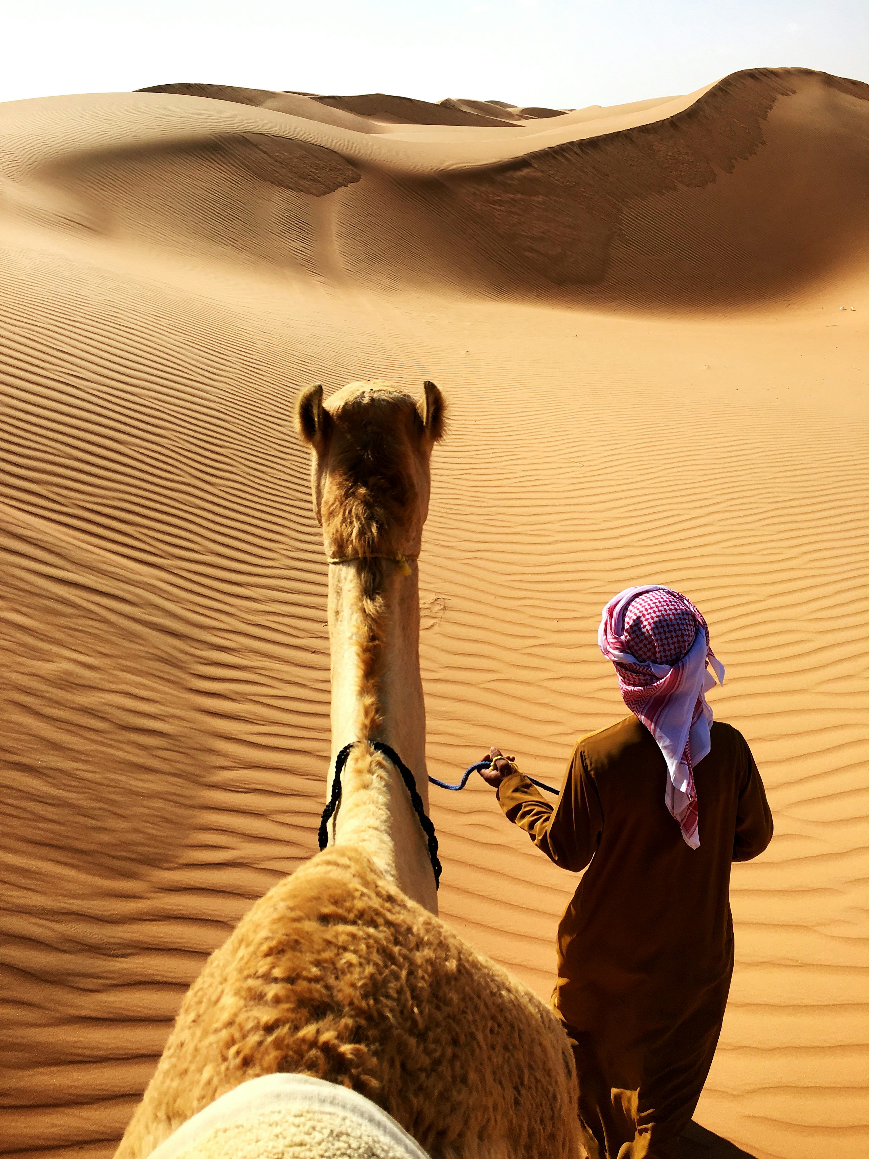 3000x4000 Arabian Desert Picture. Download Free Image