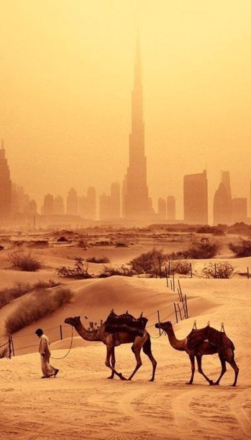 800x1401 HD dubai desert wallpaper