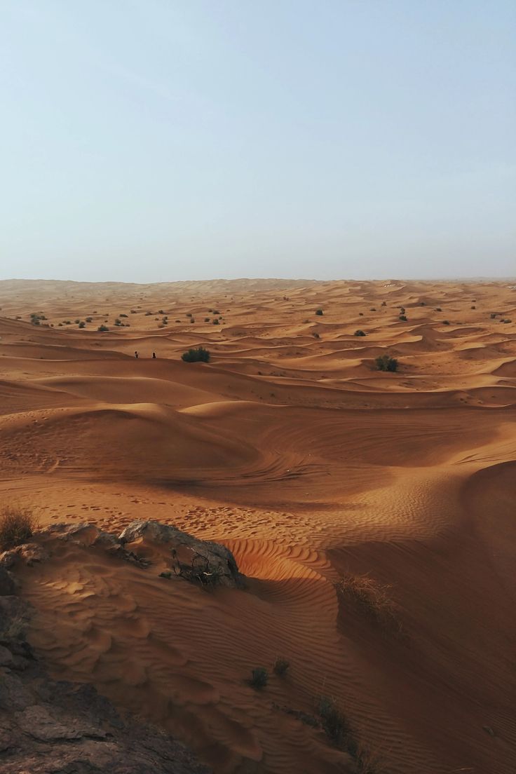 736x1104 Arabian Desert