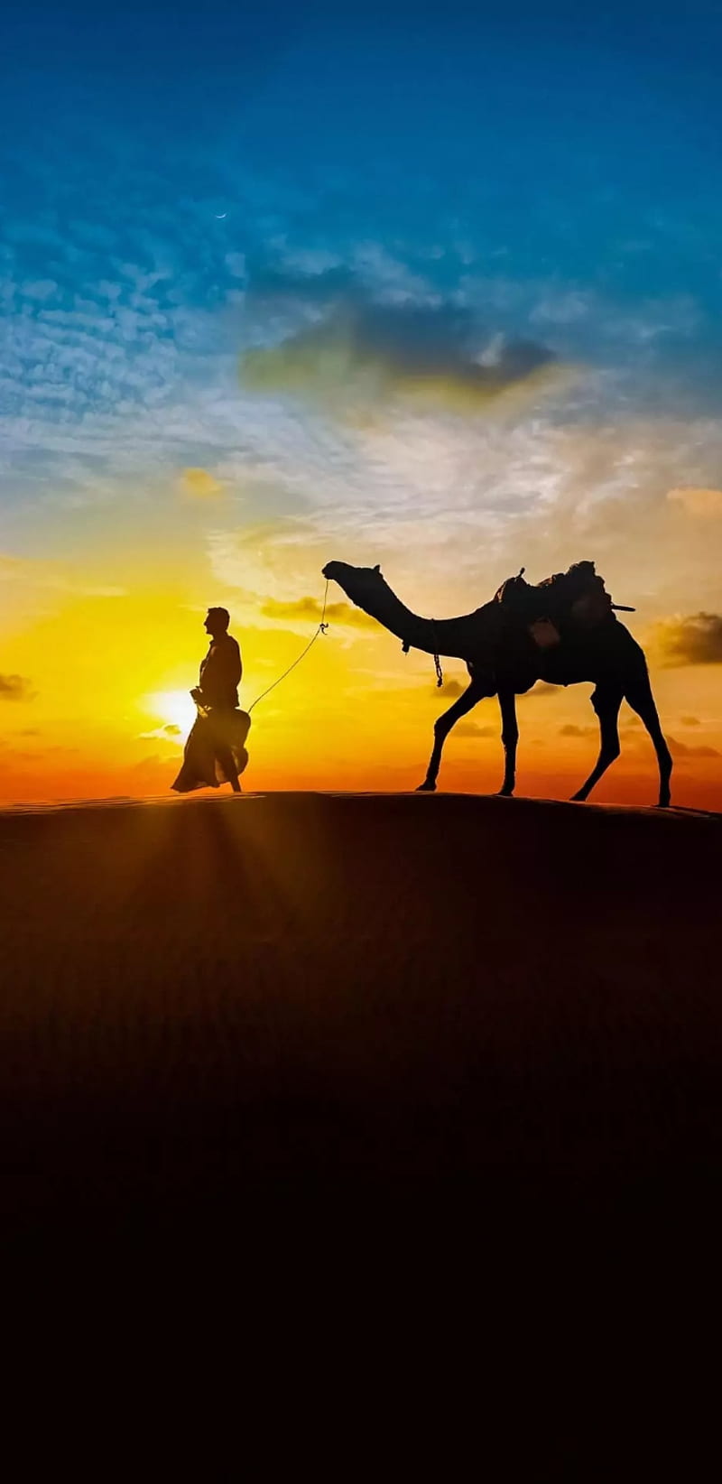 800x1644 HD desert arab wallpaper