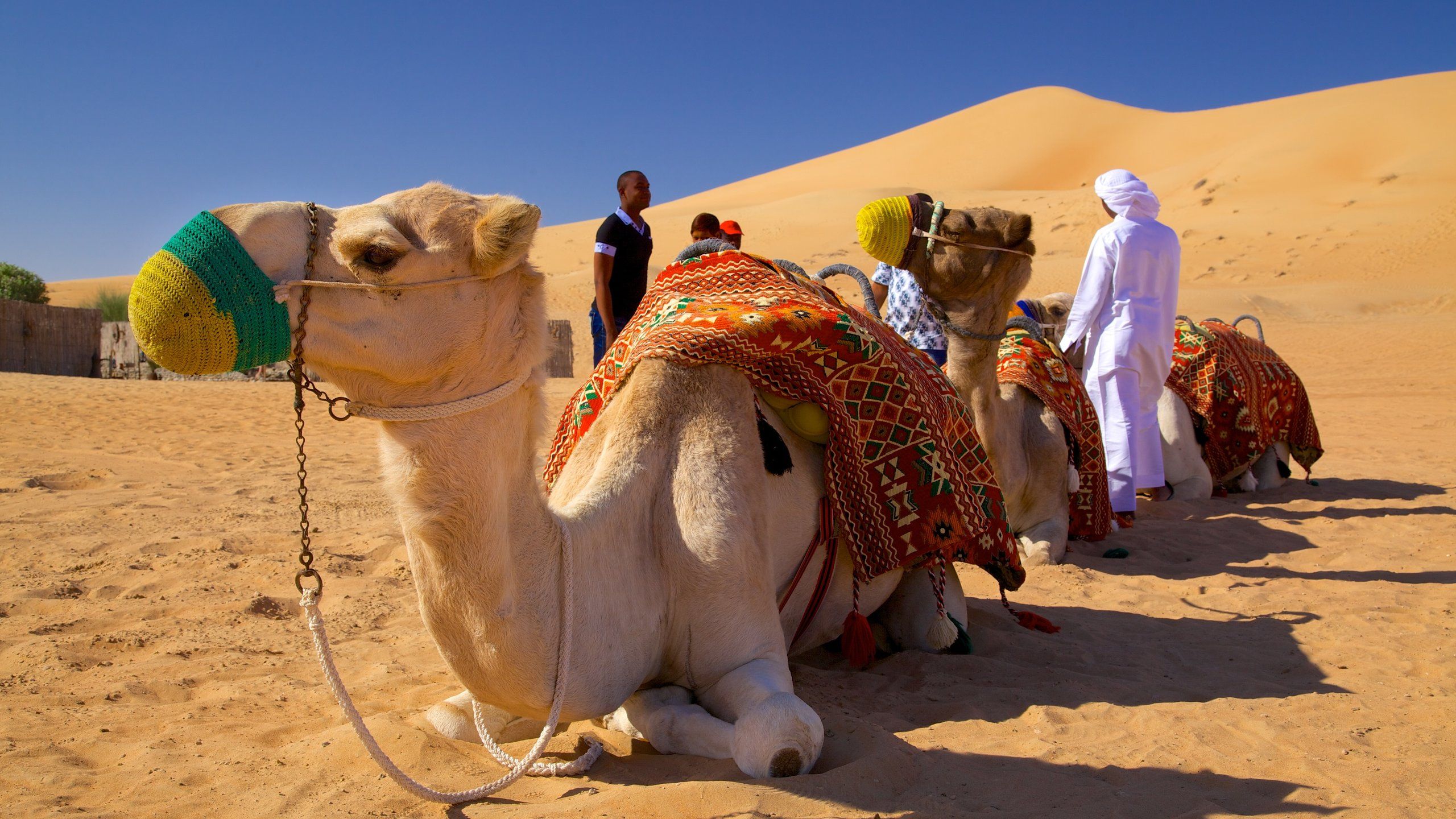 2560x1440 Best Places to Visit in the Middle East SG Stories