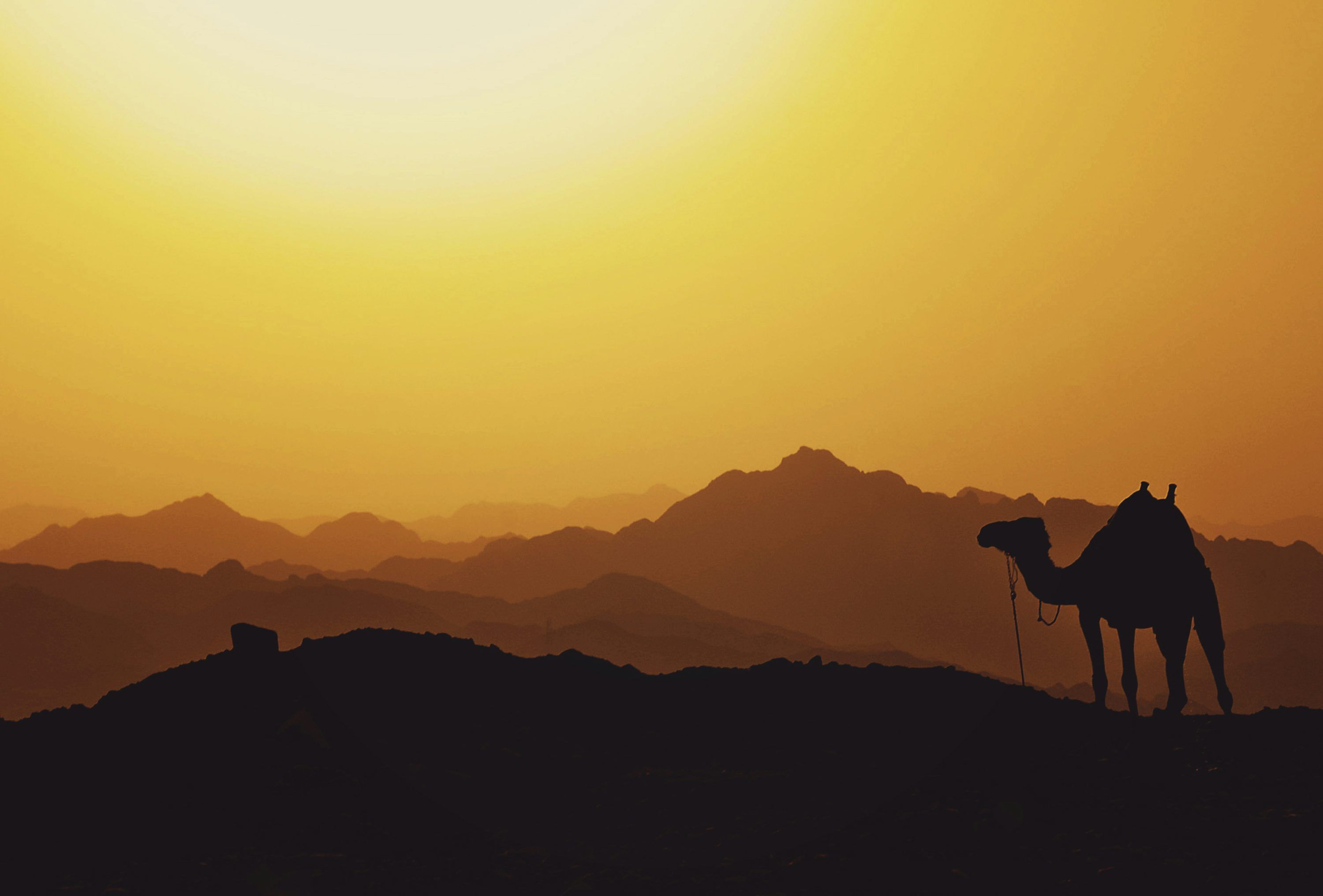 3000x2032 Middle East Picture. Download Free Image