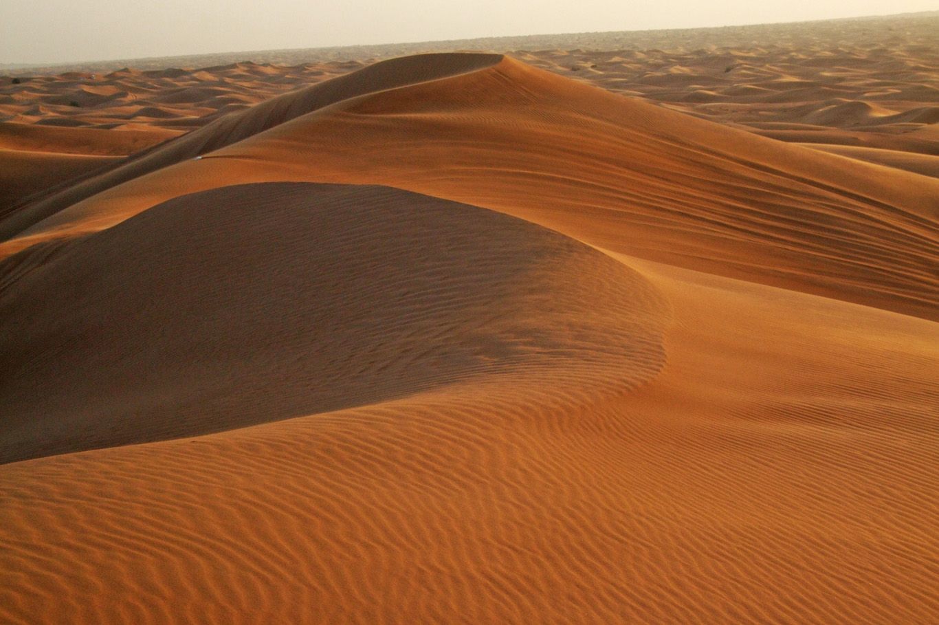 1366x909 Old Dubai, Arabian Desert and Cruise to Oman