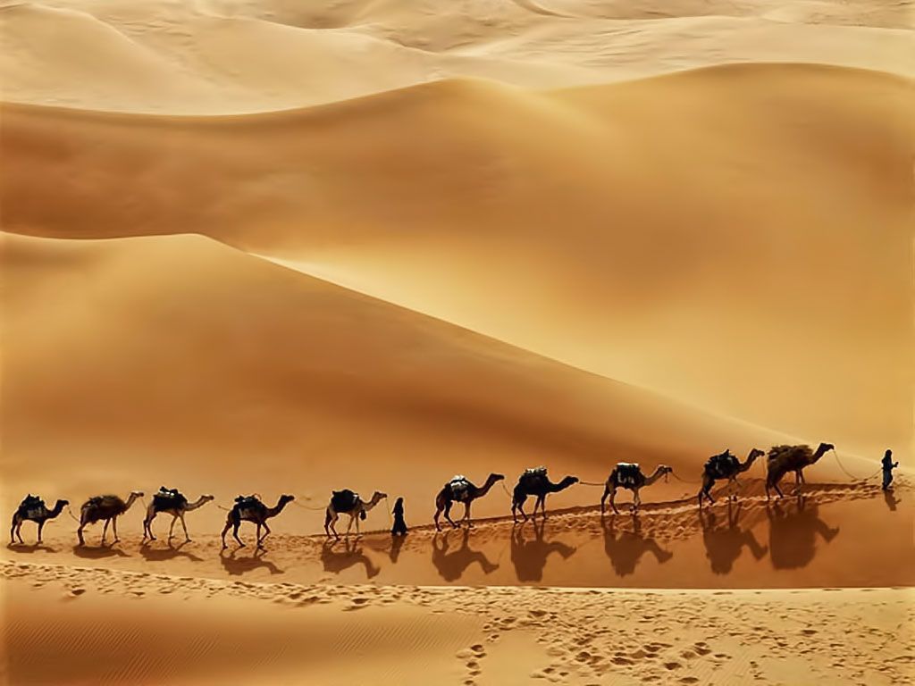 1024x768 Arabian Desert Wallpaper